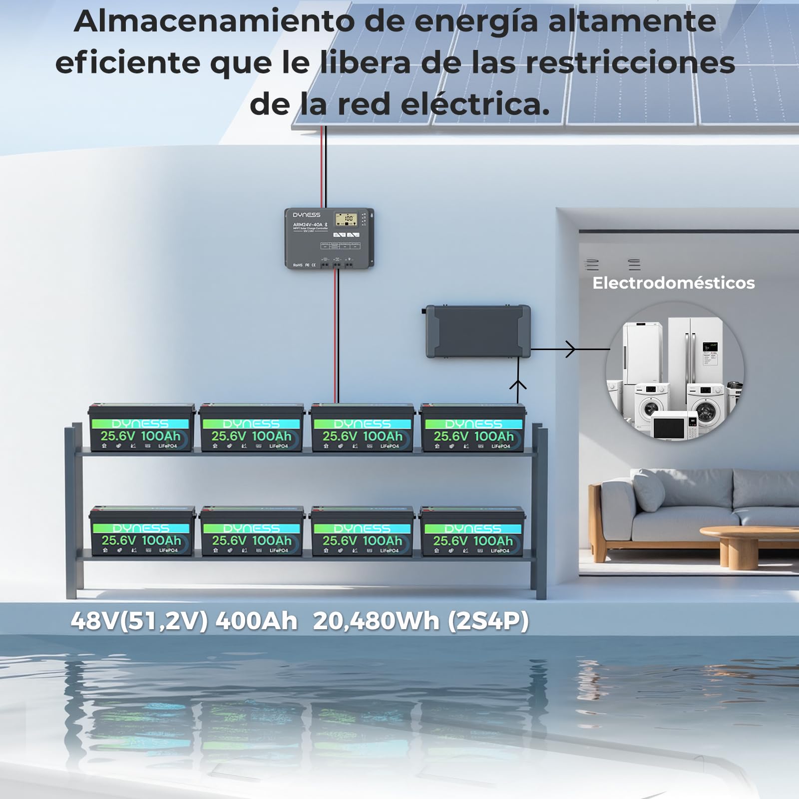 Dyness Batería Litio 24V 100Ah LiFePO4 con BMS 100A Protección Bajas Temperatura para Camper Solar