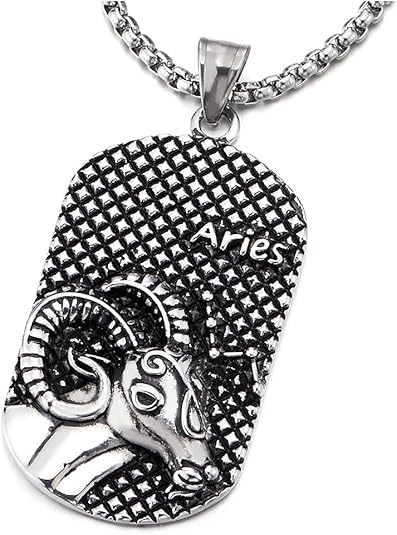 Vintage Mens Women Steel Horoscope Zodiac Signs Dog Tag Pendant Necklace, Twelve Constellations