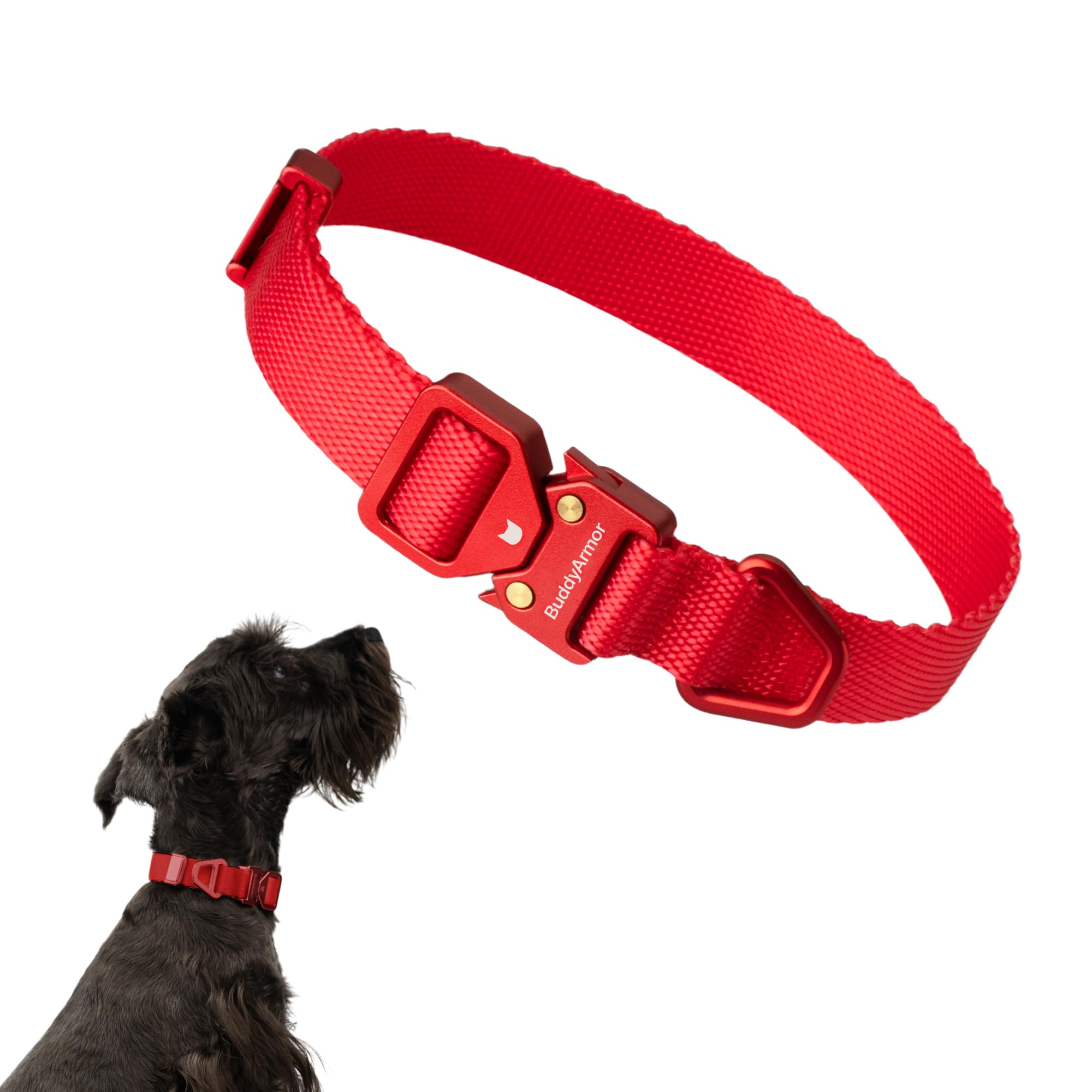 BuddyArmor Light Alloy Dog Collar Pro, Soft Lightweight Dog Collar with Metal Buckle Quick Release Heavy Duty Adjustable Nylon Collar for Small Dogs
