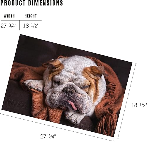 Miniatura 5 de Lantern Press Rompecabezas de 1000 piezas, Bulldog inglés durmiendo en el sofá Fotografía A-90753