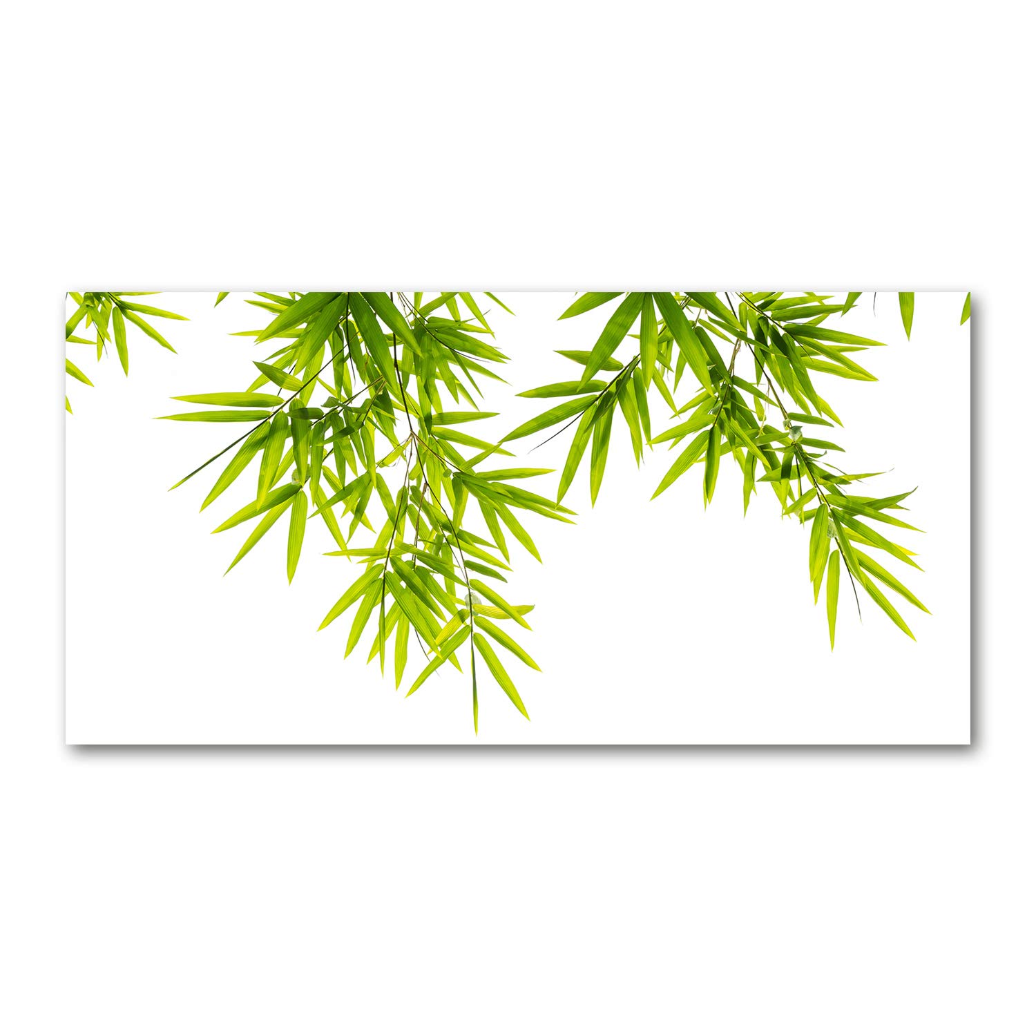 Tableau photo décorative cuisine et salon pour rafraîchir vos murs avec du bambou vert