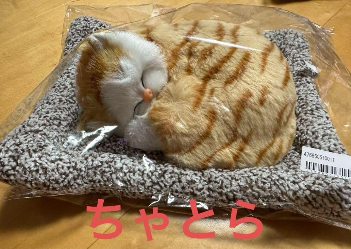 Amazon.co.jp: スヤスヤおねむりねこちゃん : ホーム＆キッチン