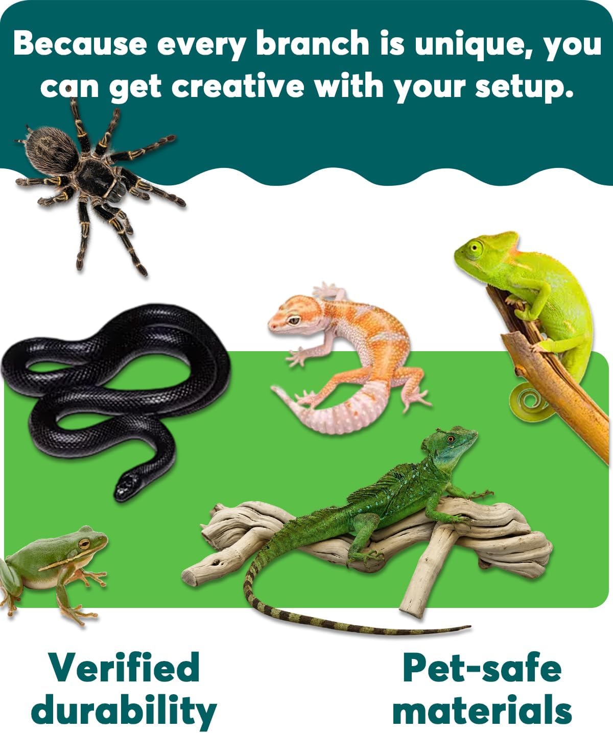3Pack 8"-10" Natural Wood Reptile Climbing Branch for Bearded Dragon | Large Driftwood Reptile Climbing Habitat Decoration, for Gecko Frog Chameleon Spider, Unique Reptile Wood Branch