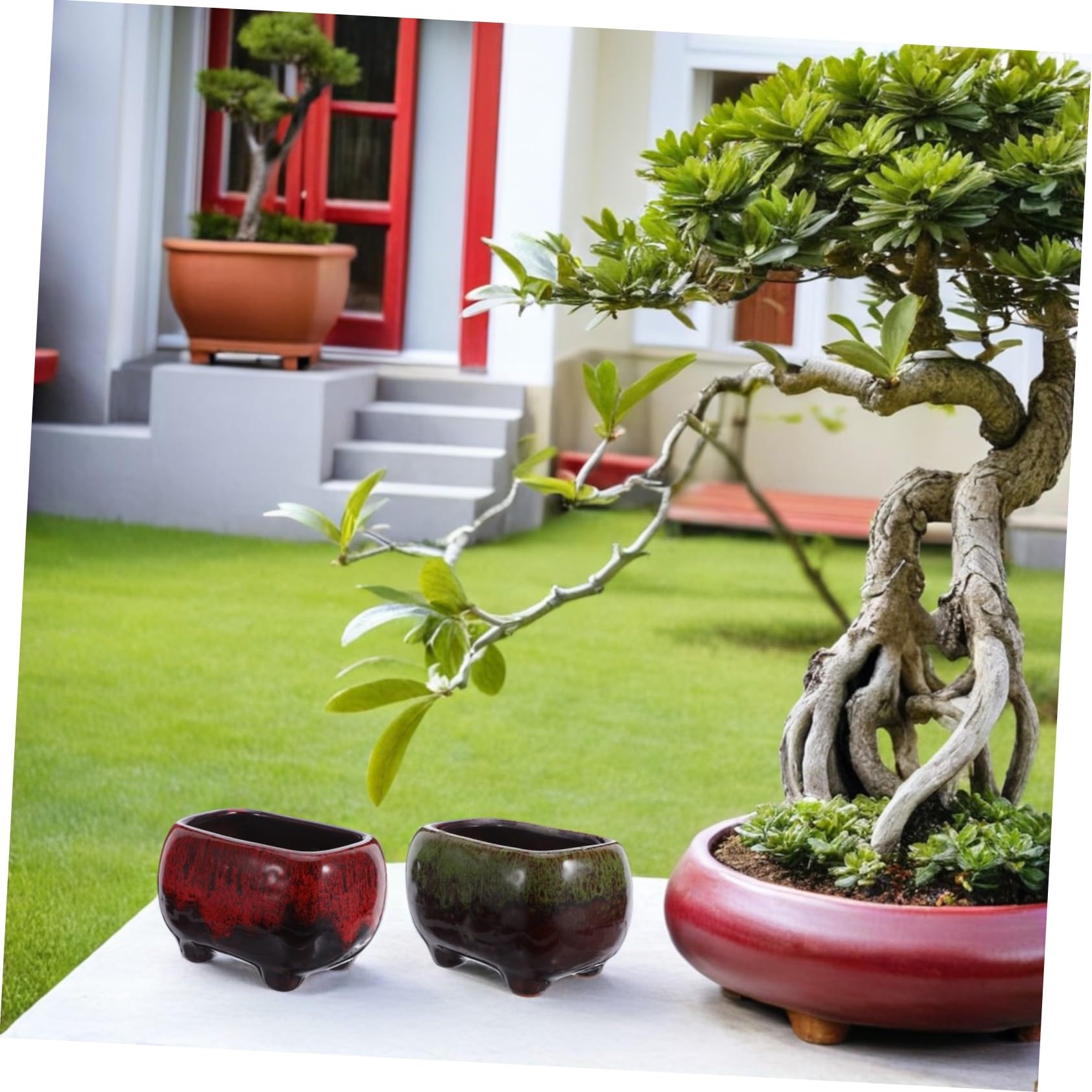 Milisten 5 ceramiczna doniczka Ceramiczny kwiat mini ceramiczne doniczki kwiatowe soczyste doniczki ozdobne soczysta doniczka ceramiczny garnek kwiatowy słodki ceramika
