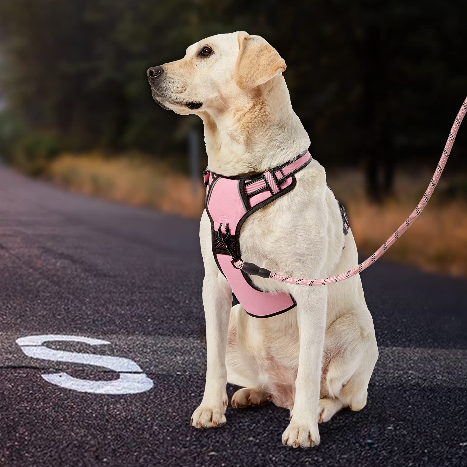 IVY&LANE Arnés sin tirones para perros pequeños, arnés de chaleco con correa, cinturón de seguridad y correa de almacenamiento, arnés totalmente ajustable, tira reflectante de 360°, mango suave (rosa,