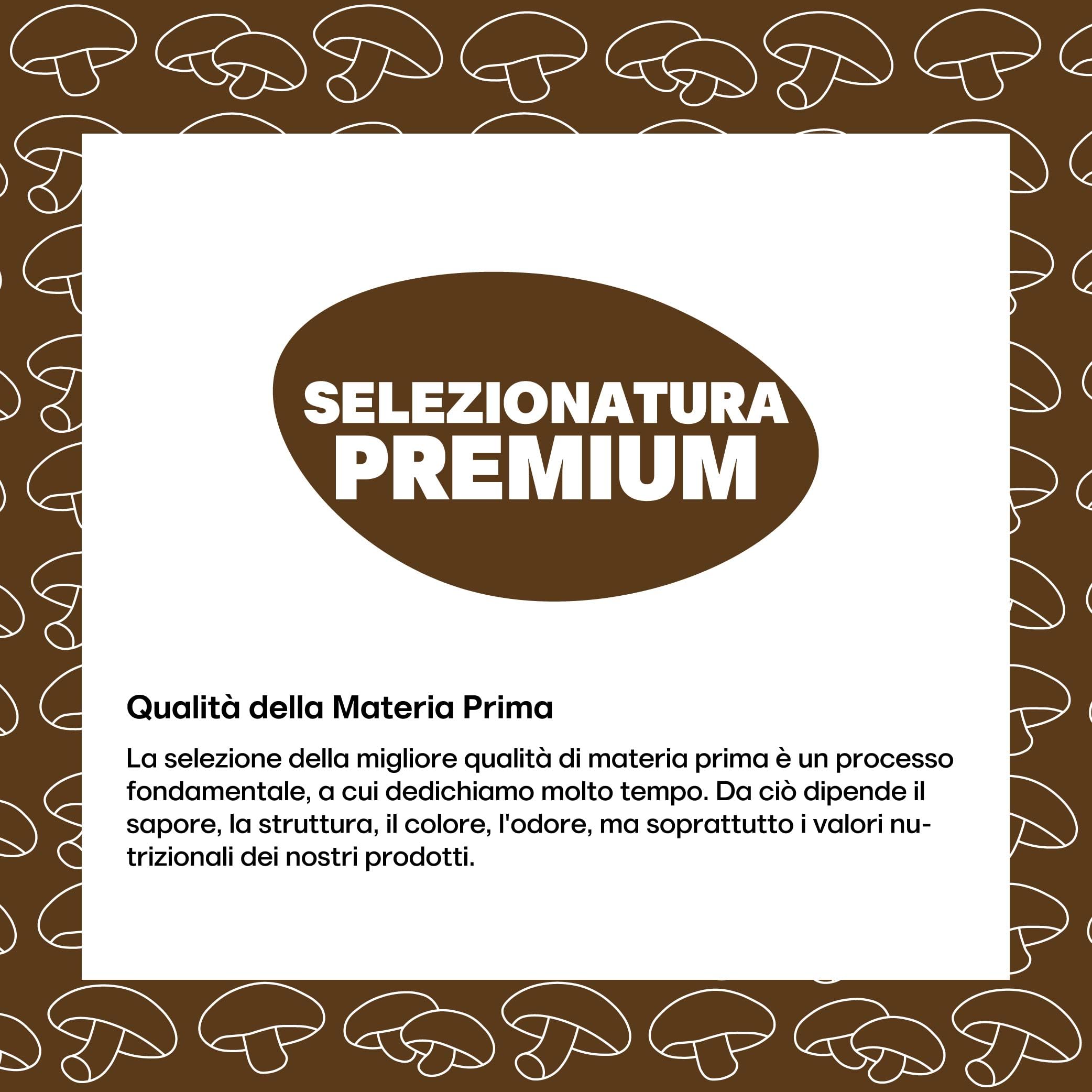 FUNGHI SHIITAKE CHIPS | Snack Gourmet ai Funghi Shiitake, Chips di Funghi, Snack Vegetale senza Coloranti, Confezione Salva Freschezza (500g)