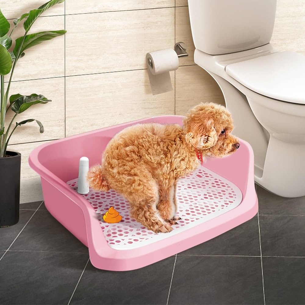 How to Set Up an Indoor Potty Area on a Balcony Safely: Easy Steps