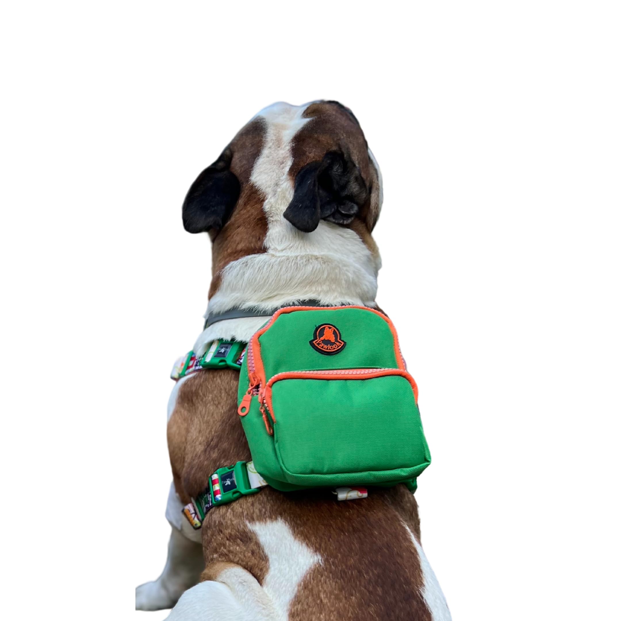 Gimme Five Yeşil Çantalı Göğüs Tasması, Köpek Sırt Çantası – Göğüs Tasması İşlevli, Geri Dönüştürülmüş Malzeme, Ayarlanabilir, Çok Cepli, 5 Renk Seçenekli, Şık ve Fonksiyonel Recycled