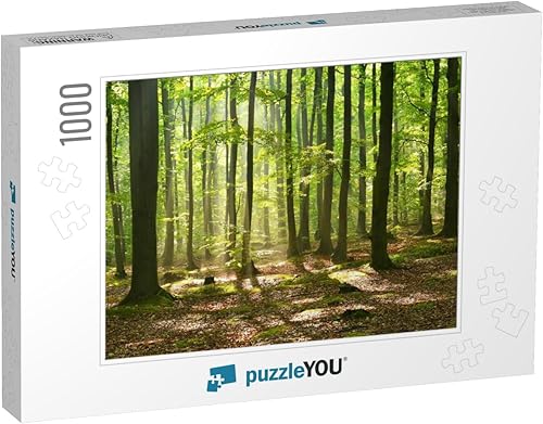 Amanecer de otoño en bosque mágico... rompecabezas con 1000 piezas