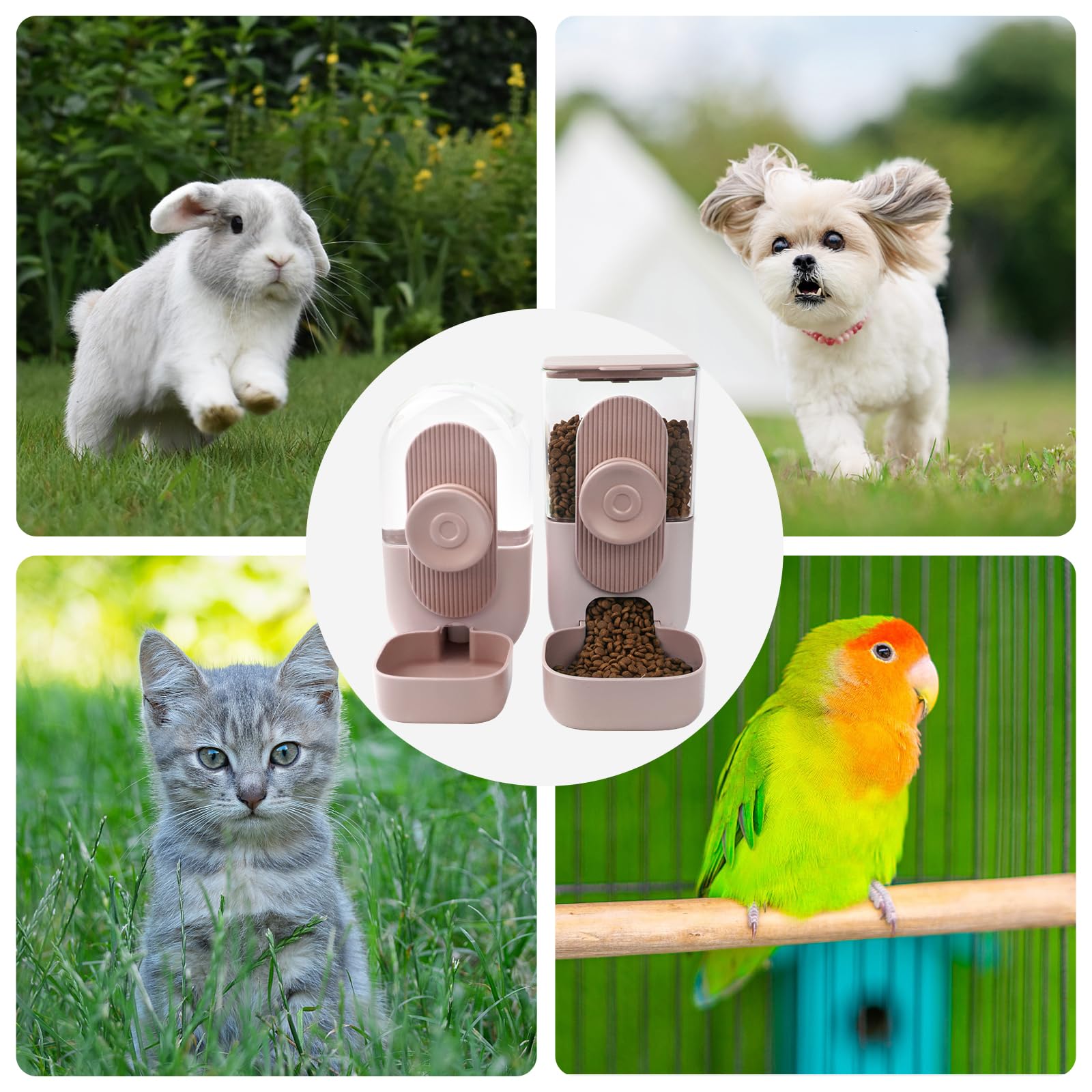 Distributore Automatico Di Cibo E Acqua,Distributore Di Cibo A Parete,Distributore Di Cibo per Animali Domestici per Cani Gatti Conigli, Cincillà, Porcellini D'india, Ricci E Furetti(rosa)
