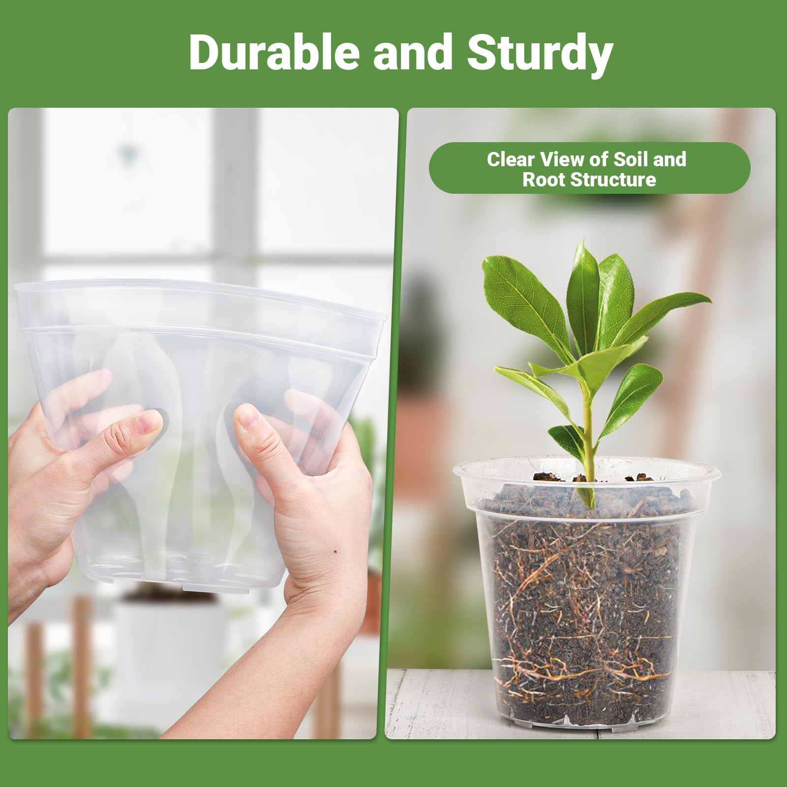 GREANER Lot de 12 pots d'orchidée transparents de 15,2 cm, 20,4 cm avec trous et 20 étiquettes pour plantes d'intérieur et d'extérieur