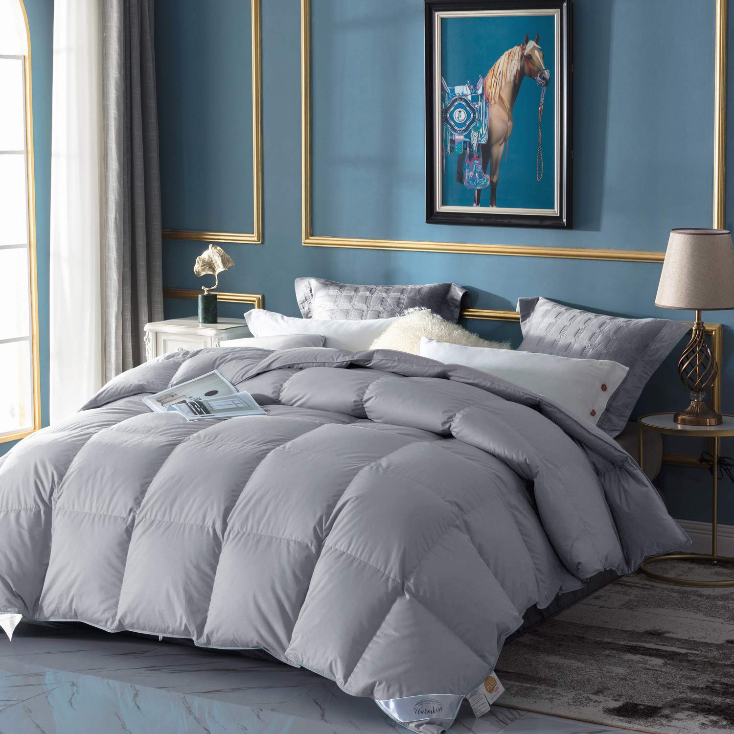 WarmKiss Down Comforter King Size,Duvet Insert Premium Grey UltraSoft