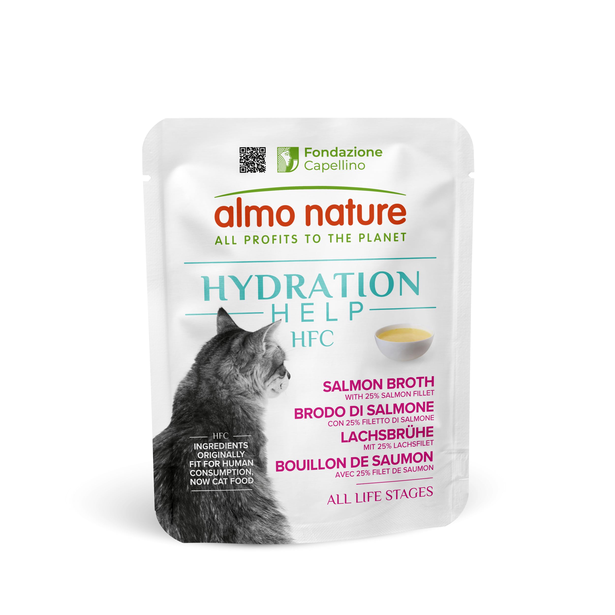 Almo Nature HFC Hydration Help - Wet Cat Food - Salmon Broth with Salmon Fillet - Urinary Support - Human-Grade, Gluten-Free, Monoproteic - 50g (Pack of 24)