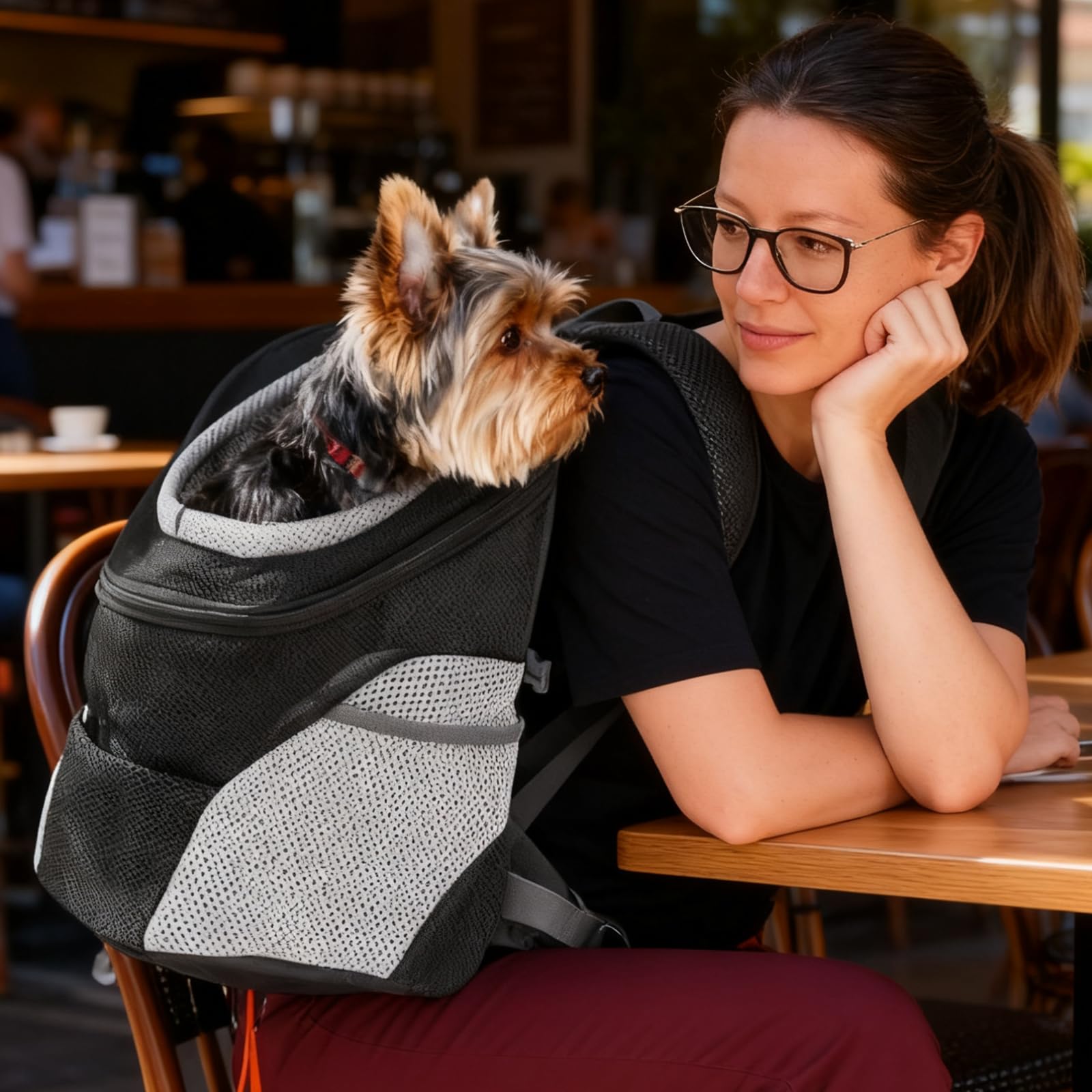 Mochila transportadora para perros: 34 x 30 x 16 cm, color negro, plegable, mochila para mascotas para perros pequeños y gatos, mochila para mascotas de 1 a 5 kg, bolsa para cachorros