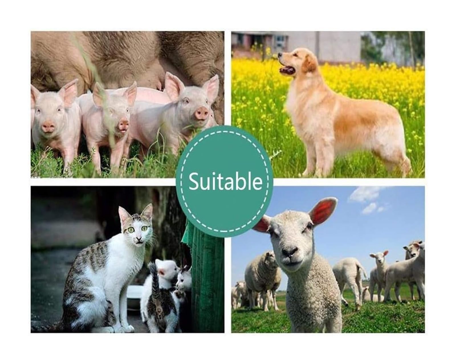 Scanner a Ultrasuoni B Portatile Per Veterinaria/animale Con Sonde Di Traino Convesse, Attrezzatura Diagnostica Veterinaria Portatile Ad Ultrasuoni, Usata Per Animali, Animali Domestici, Allevamento