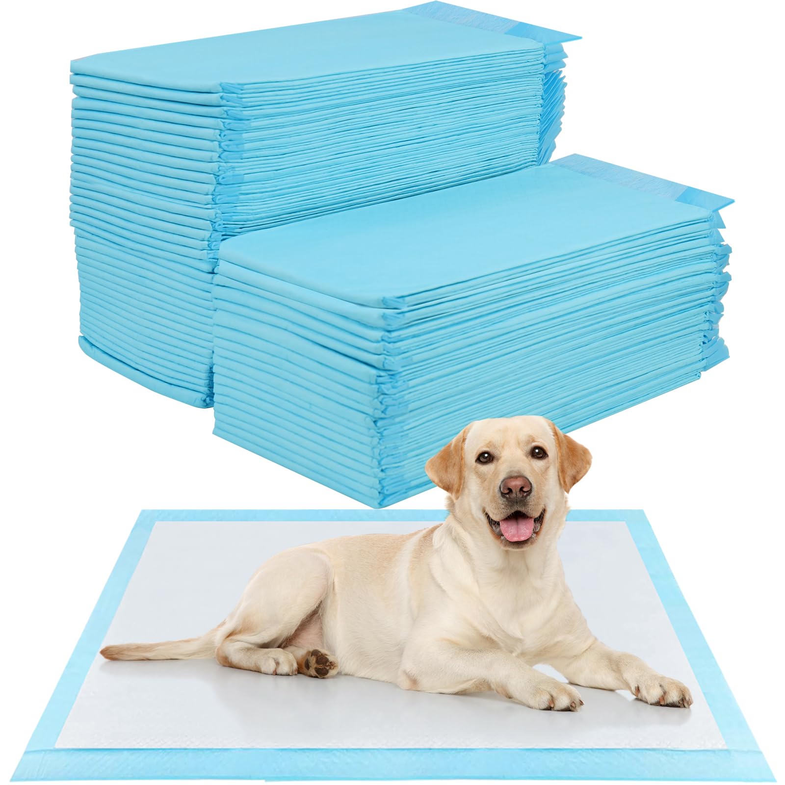 60 Piezas Empapadores Perros, 90 x 60cm Almohadillas Absorbentes, Almohadillas de adiestramiento de Perros y Cachorros, Superficie de Secado Rápido