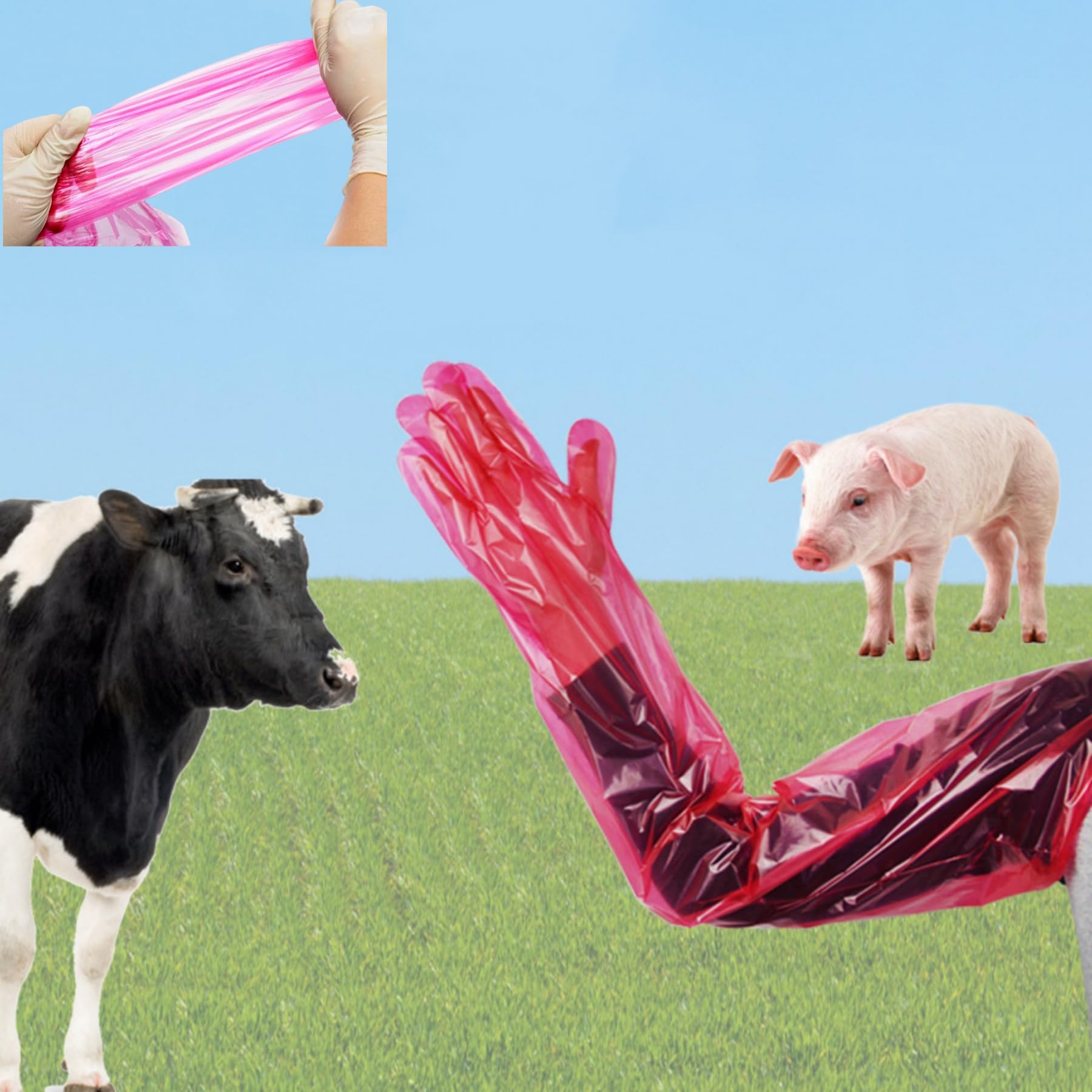 Guanti Veterinari Usa e Getta 40PC, Elastici in Pellicola di Plastica Morbida, Protezione Braccio Rosso