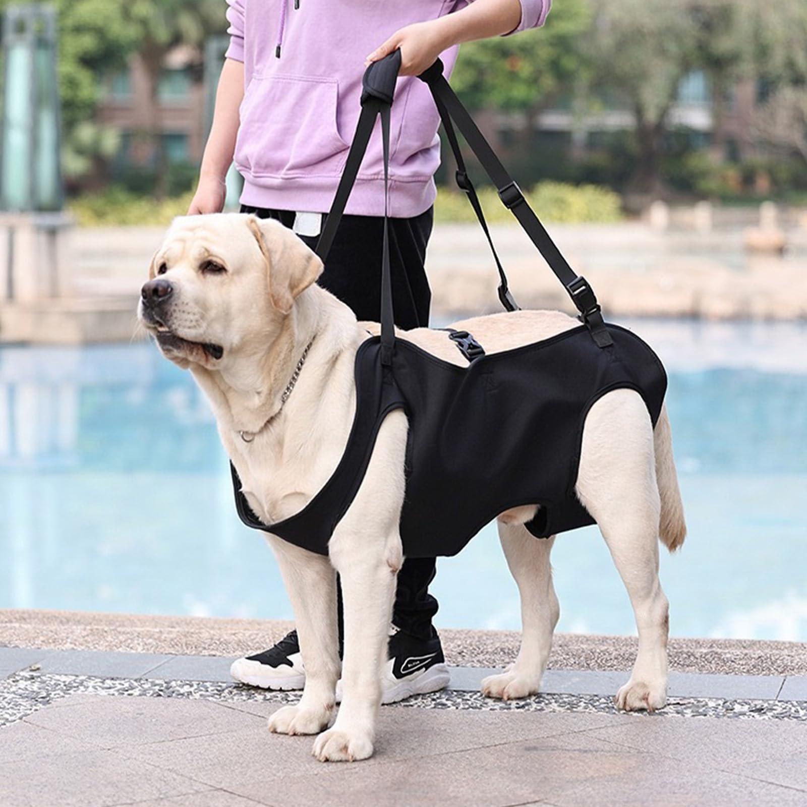 YOUNGSAY Harnais de Levage pour Chien, Harnais Grand Chien Handicapé, Réglable Harnais de Soutien pour Chiens, pour Chiens Handicapés, Aveugles, Blessés ou Âgés (Noir, L)