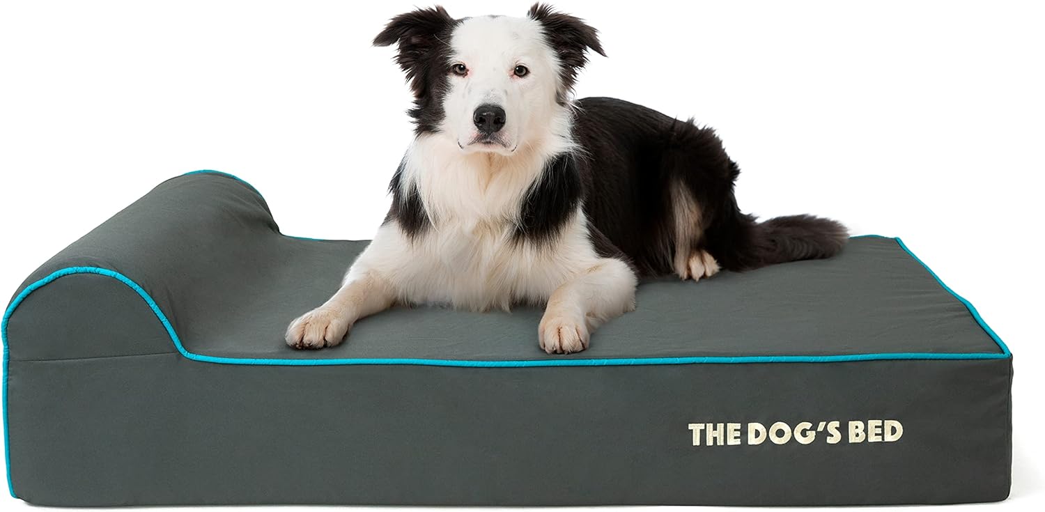 The Dog’s Bed Orthopedic Memory Foam Dog Bed with Headrest, Oxford Fabric, Grey with Blue Trim, Large, 6-Inch