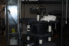 Review Image by Robin Reigns Robin Reigns