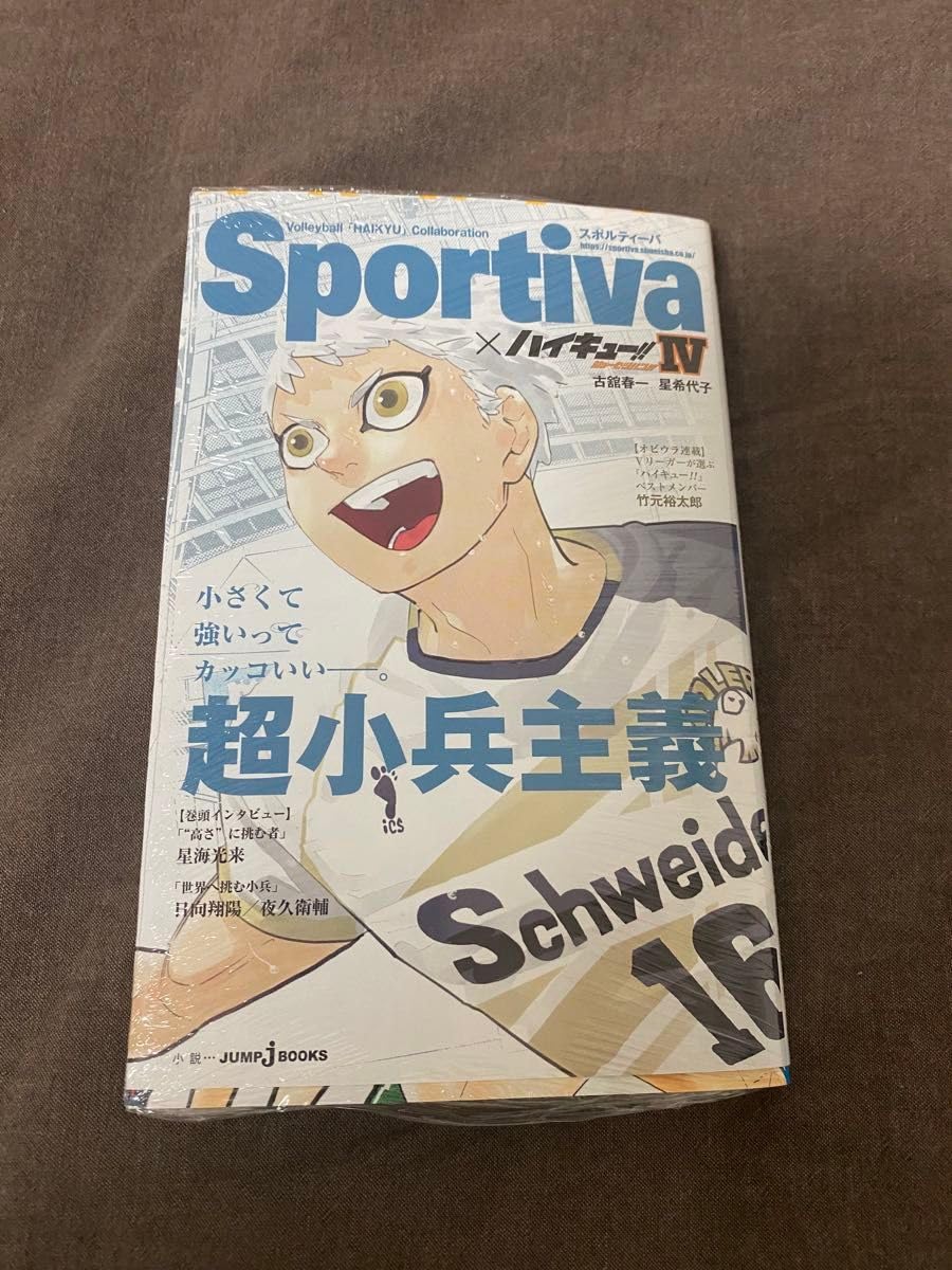 Amazon.co.jp: ハイキューショーセツバン コラボ チケット風しおり 