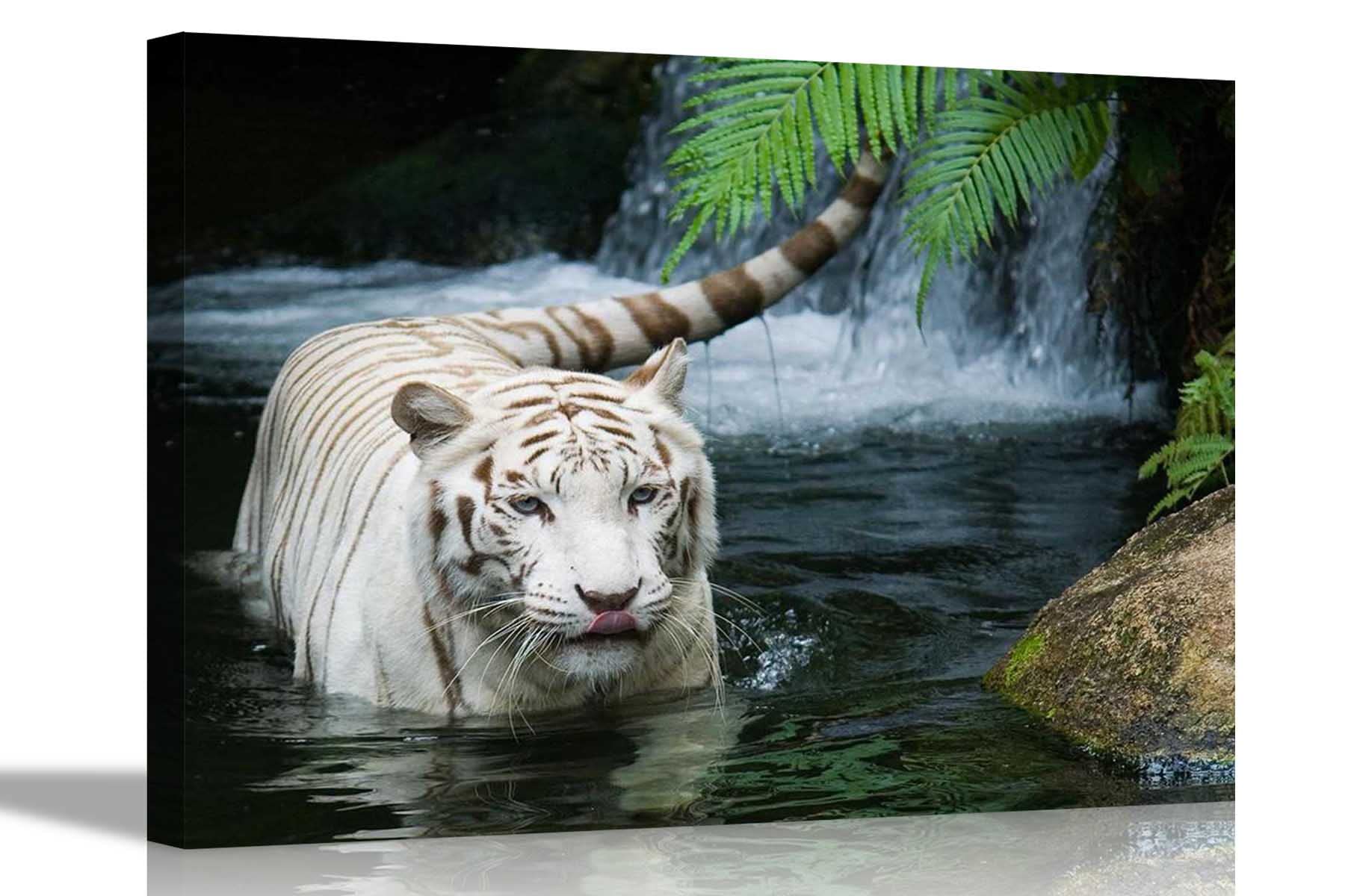 Artley Prints Blue White Tiger In Lake Canvas Prints Framed Wall Art Animal Poster Artwork Home Work Livingroom Pictures Kids Adults Extra Large 101 X 76Cm (40 X 30 Inches)