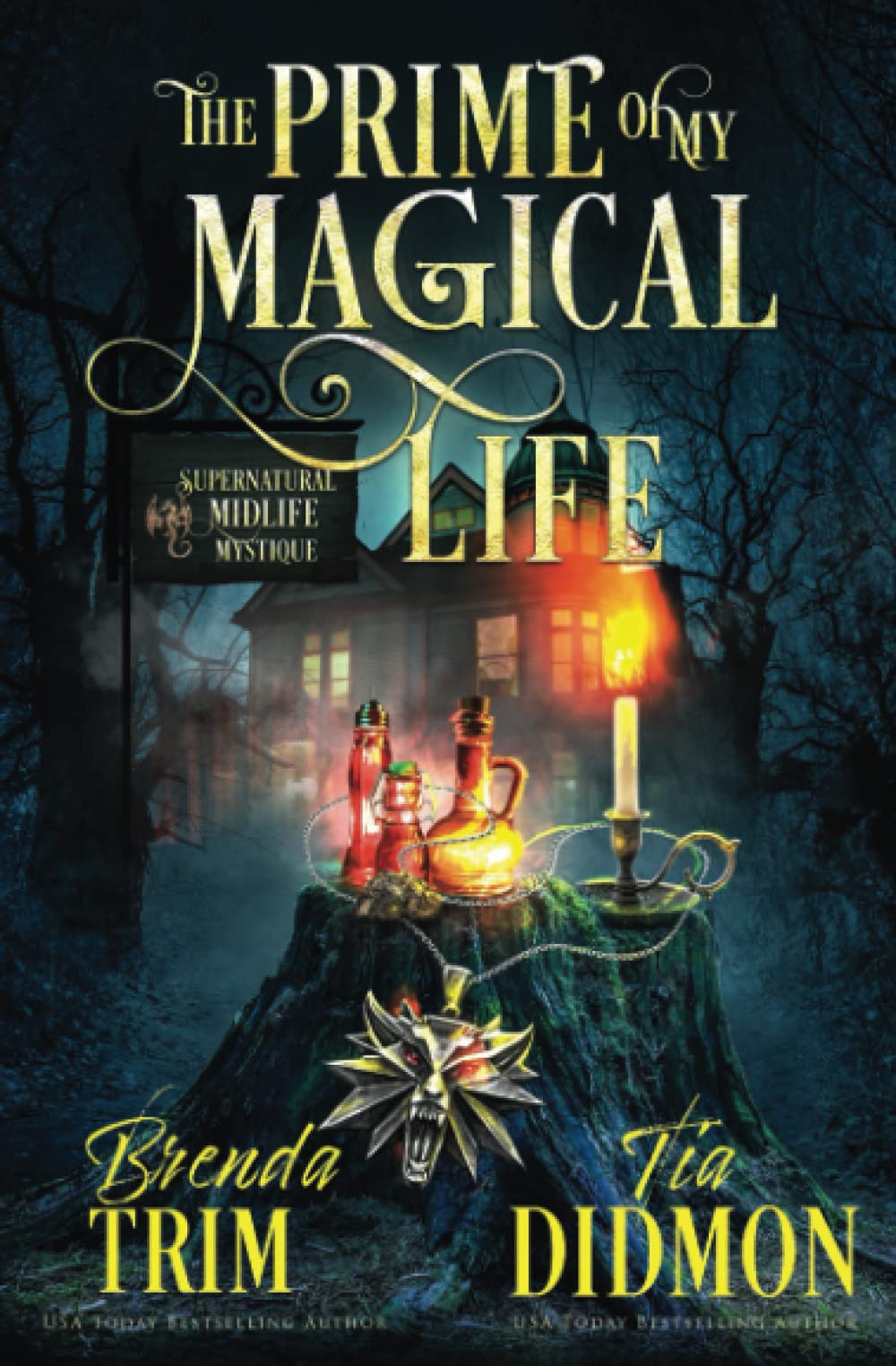 Book cover for The Prime of My Magical Life
