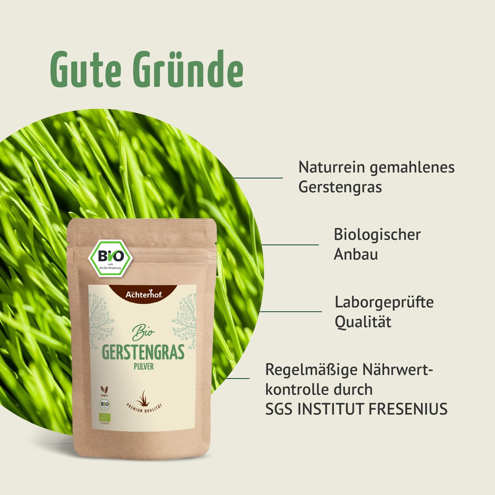 Erba d'orzo in polvere BIO (500g) | Da coltivazione tedesca | Qualità alimentare grezza | Residui controllati | vom-Achterhof