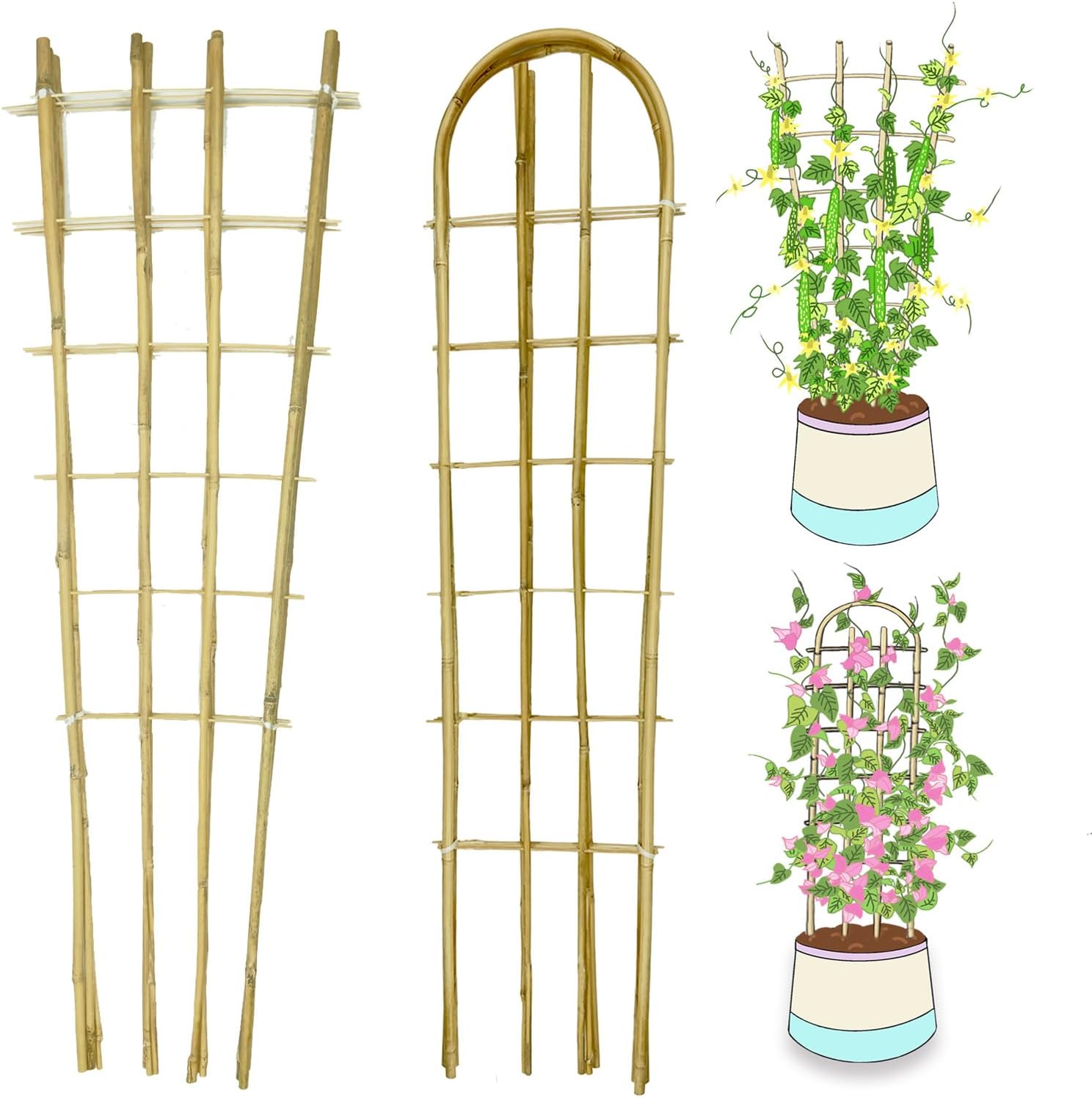 Natural Bamboo Trellis, 4.8Feet,3Pack,Fan-Shaped Plant Support Trellis for Outdoor and Indoor Potted Climbing Plants,Vegetables, Cucumber, Tomato, Hoya,