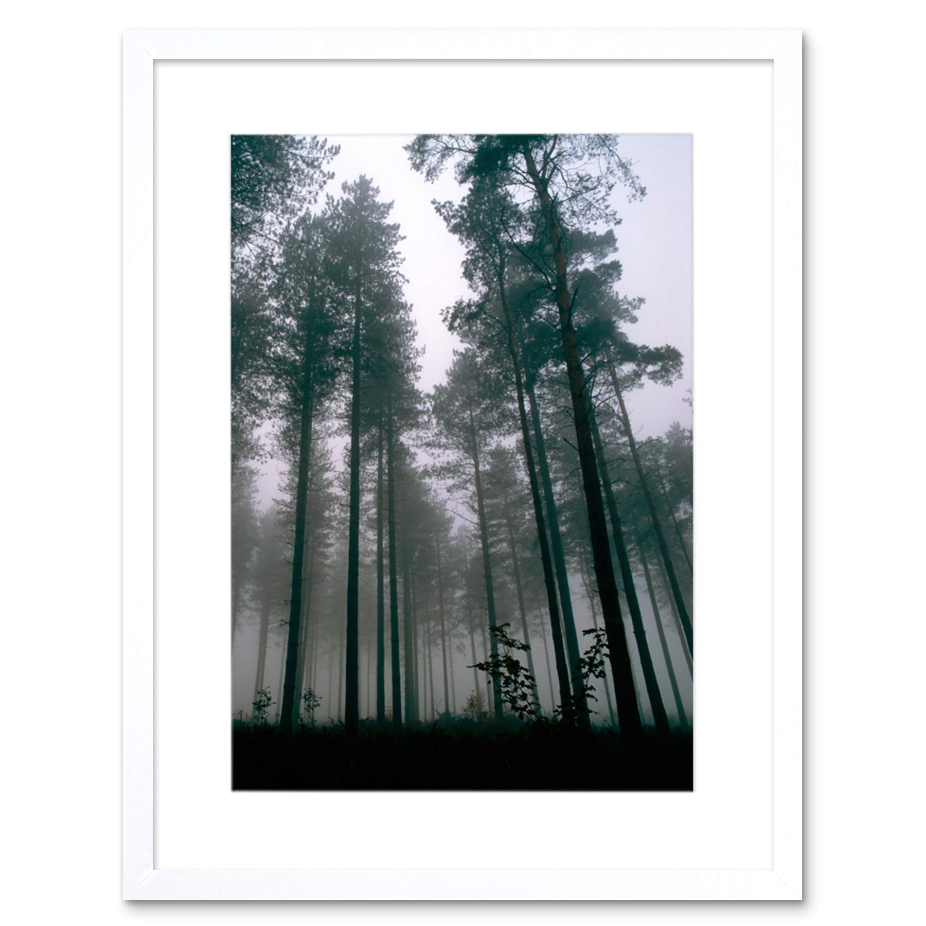 Wee Blue Coo Thetford Forest Trees Mist Art Framed Wall Art Print
