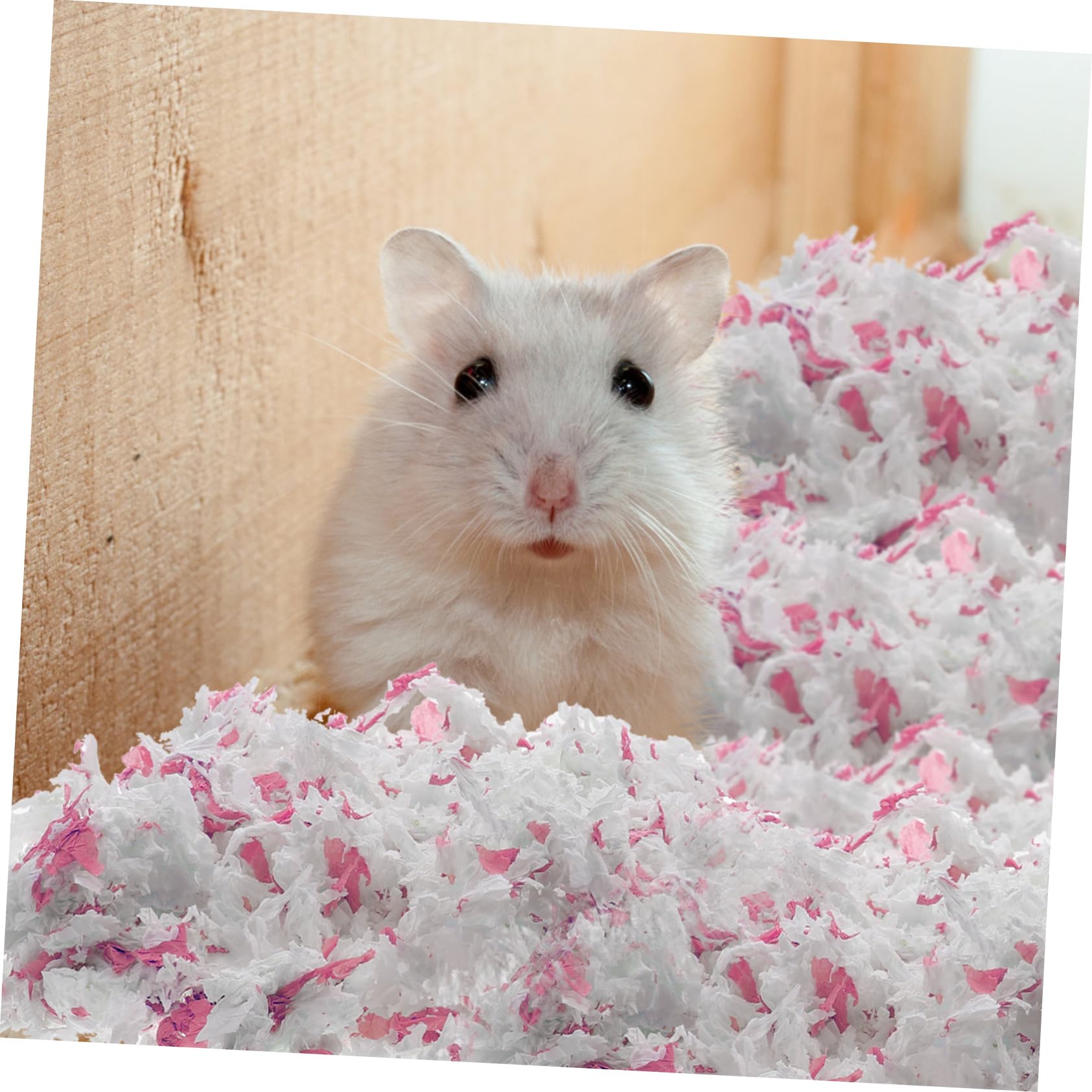 COLLBATH Papierstreu für Kleintiere Papierpolsterung aus Papier Saugfähig und Geruchsarm 1 Beutel 450g für Käfige von Chinchillas und Rennmäusen