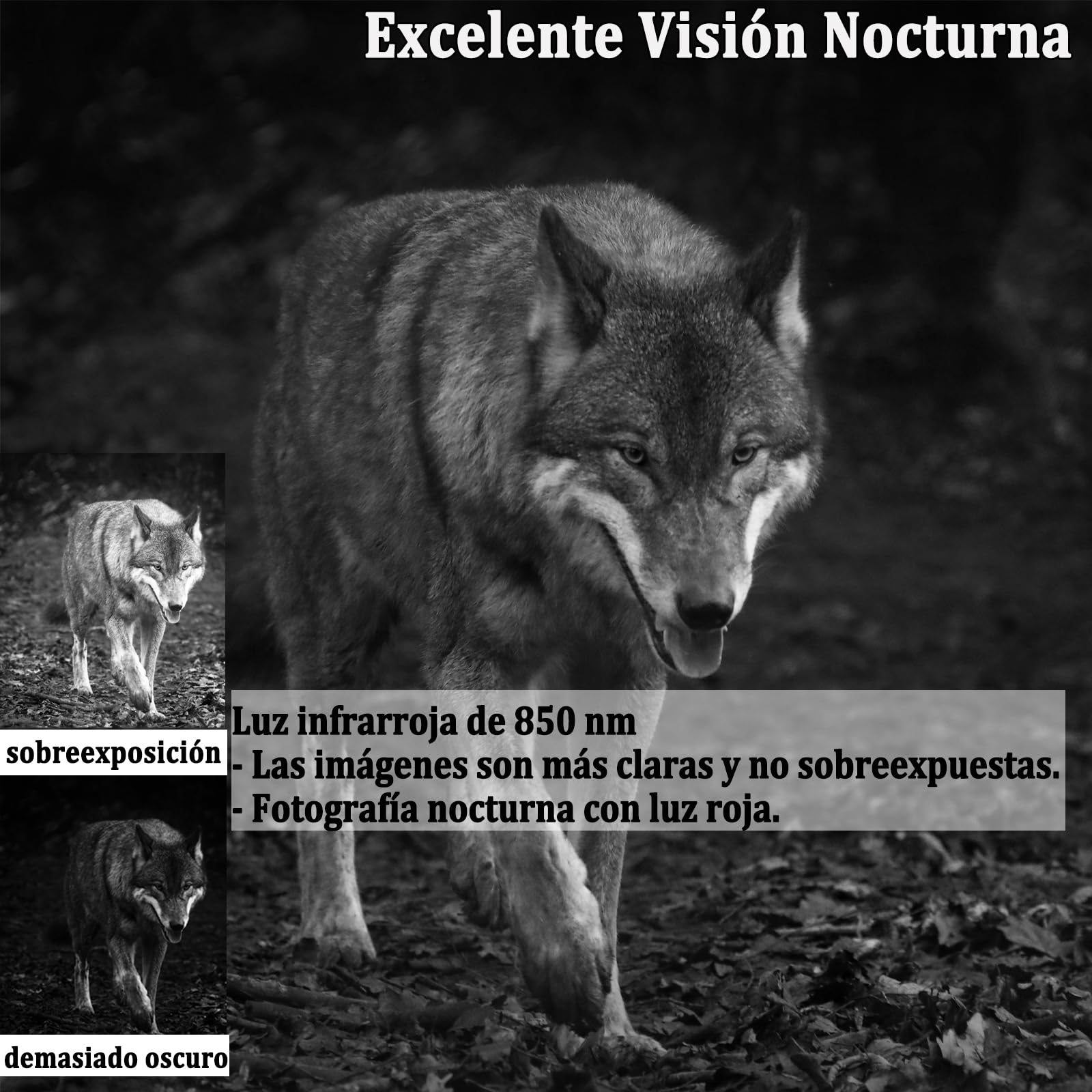 Camara Caza 50MP 4K, Camara Fototrampeo con Sensor de Movimiento, Cámara de Caza Nocturna Impermeable IP65, Visión Nocturna hasta 25m, Micro SD 32GB (HC808A)