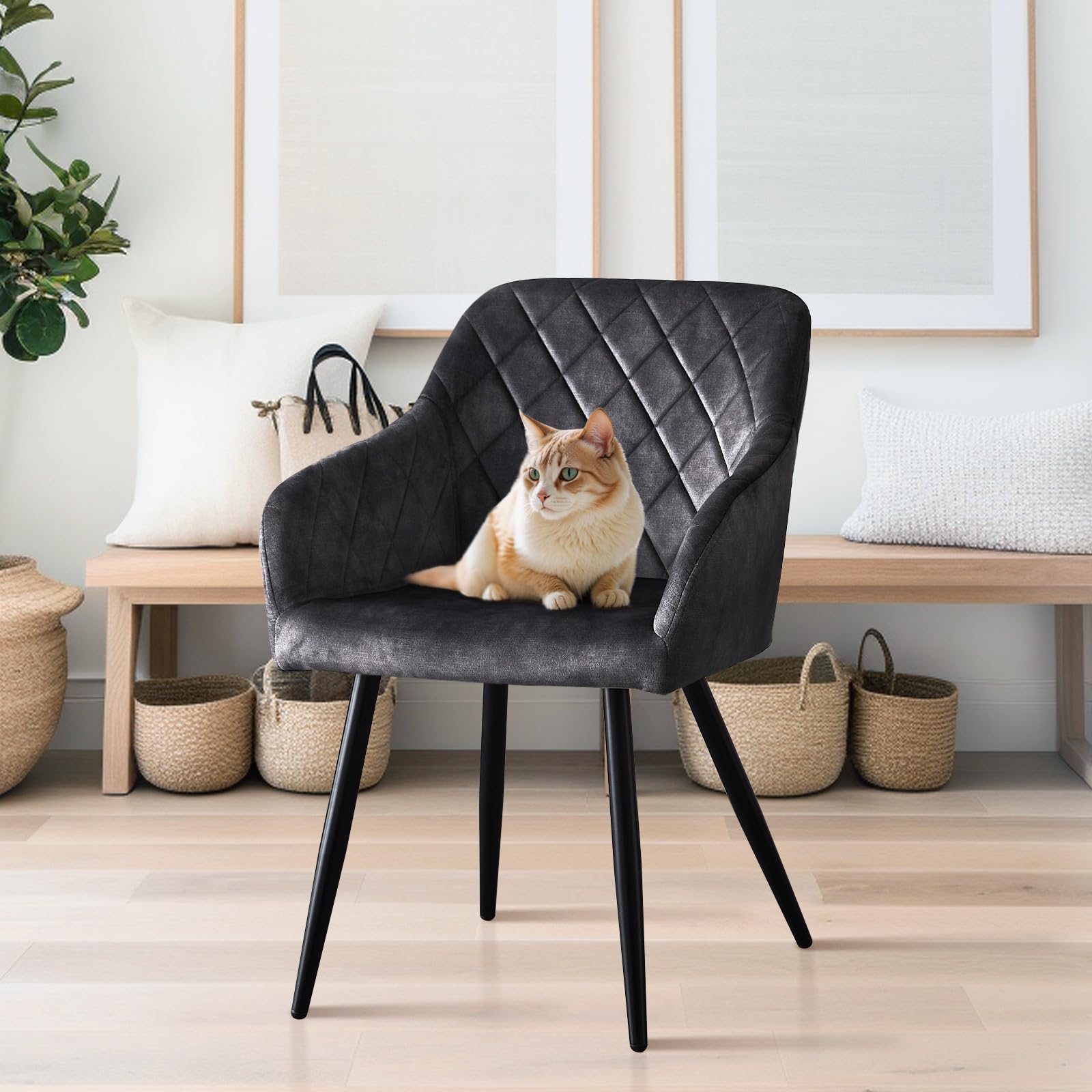 CLIPOP Esszimmerstühle 2er Set, Küchenstühle Grau Samtstoff Wohnzimmerstühle Polsterstühle mit Armlehne Metallbeine Polstersessel Stühle für Esszimmer Wohnzimmer Küche (2, Samt Kohlenstoffgrau)