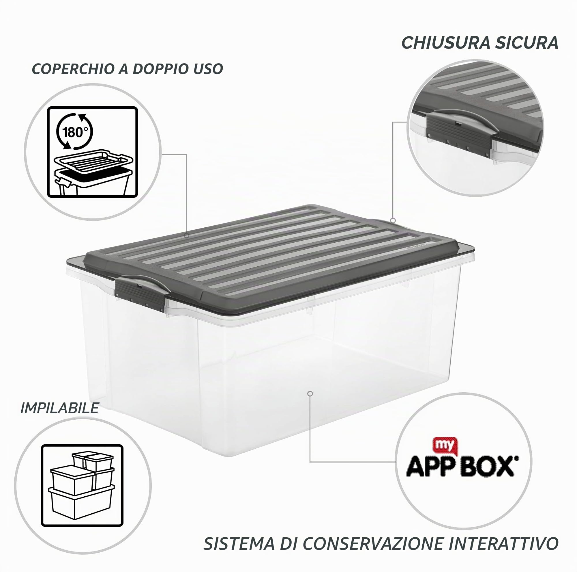 Rotho Compact Set di 3 Scatole con Coperchio, Plastica (PP) senza BPA, Grigio (Antracite)/Trasparente, 3 x A3/38 L, 57.5 x 40.0 x 25.0 cm