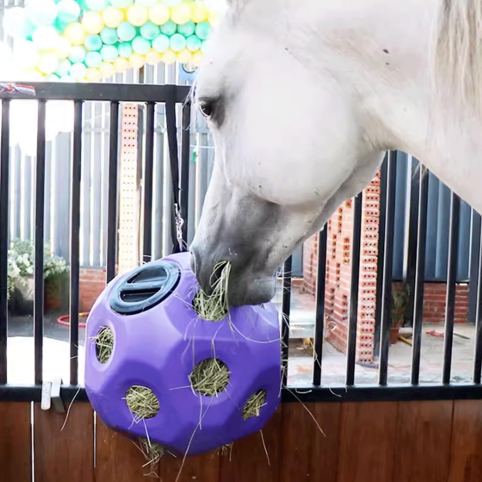 Bola De Heno para Caballos, Bola De Alimentación De Heno Juego De Alimentación De Plástico Multiusos Alimentador De Césped para Aliviar El Estrés (Color : Purple)