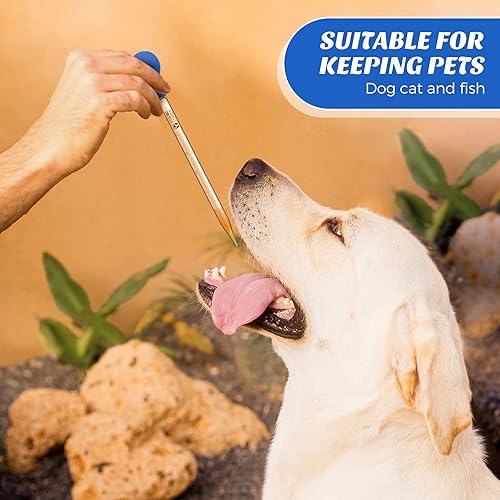 Miniatura 6 de Weewooday Pipetas de vidrio con goteros de vidrio graduados para laboratorio, pipeta líquida con sombreros de goma grandes de 7.9 in, varilla de