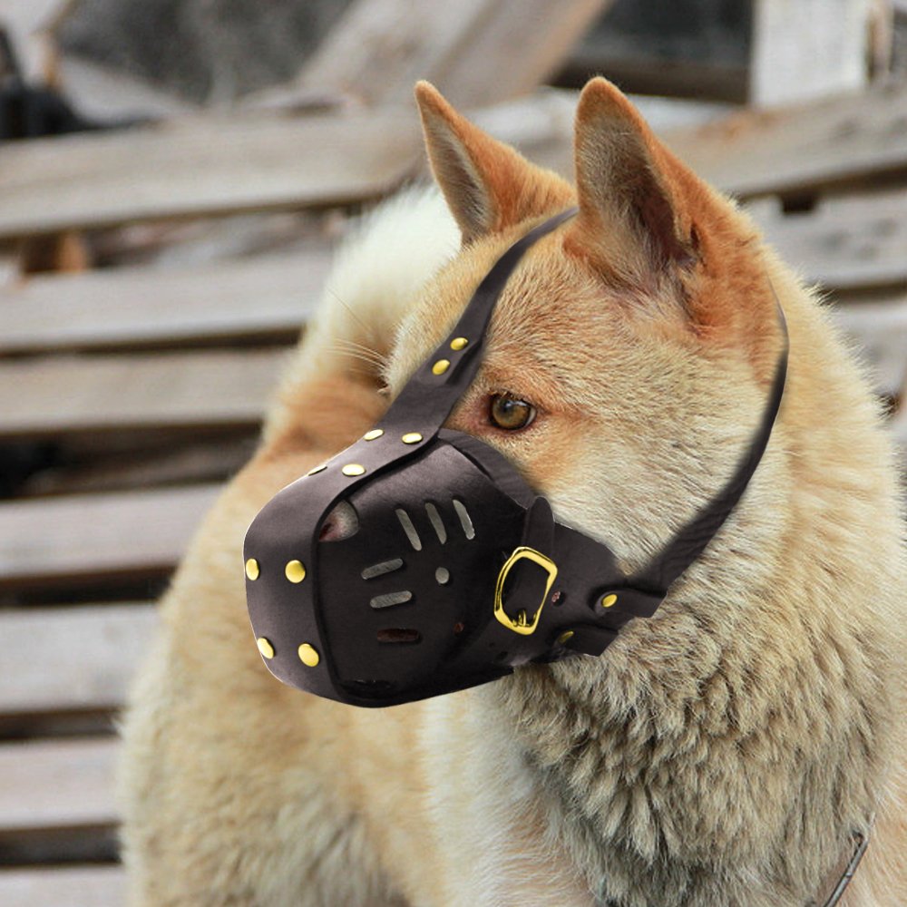 Museruola per Cani in Vera Pelle Museruola per Cani Regolabile Forniture per Addestramento per Evitare di Mordere Masticare Abbaiare