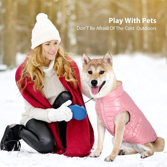 Foto 6 de 6 de PETCUTE Abrigo Invierno Perro,Abrigo Impermeable para Perros Resistente al Viento,Chaqueta para Mascotas…