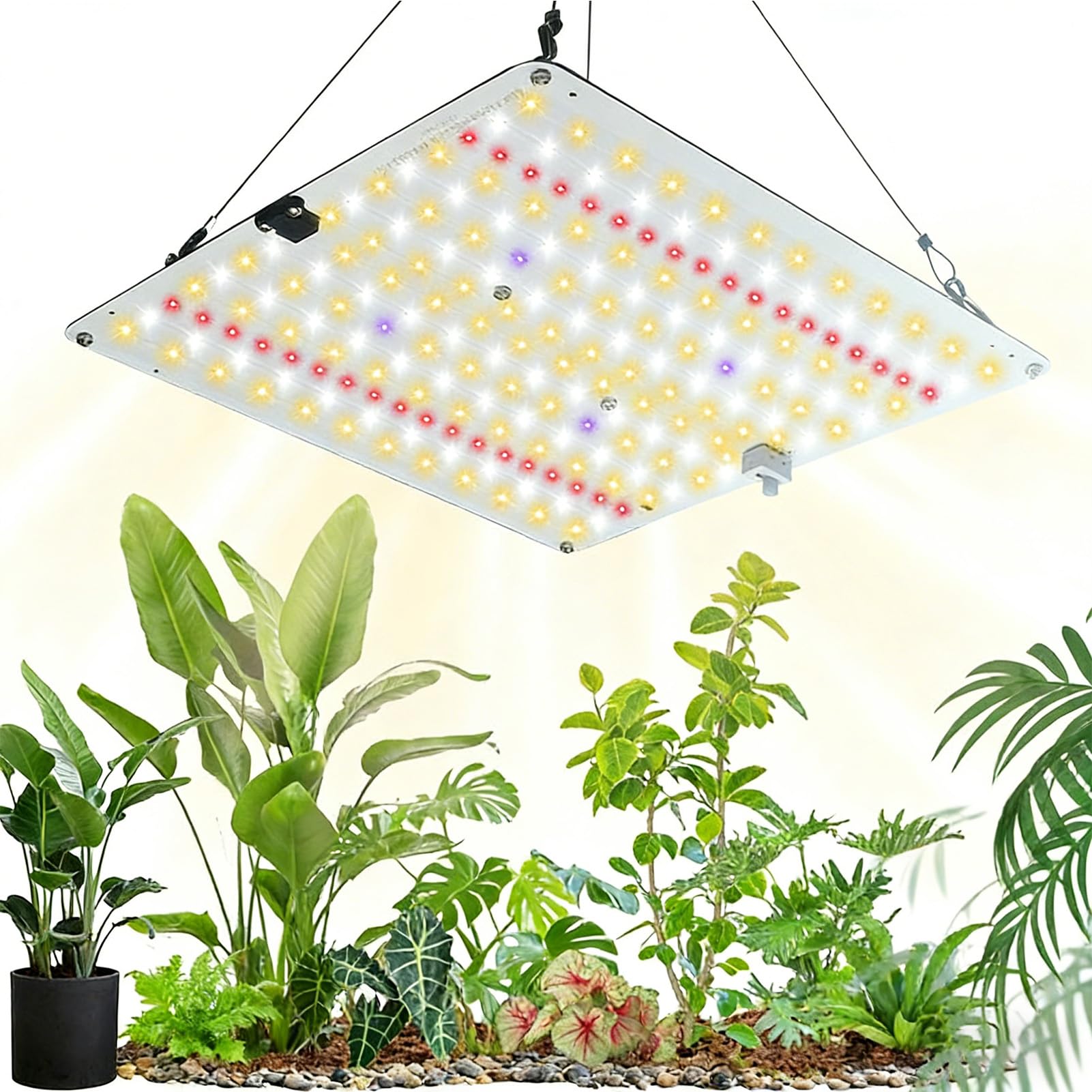 Amazon.co.jp: Walmeck LED 植物ライト フルスペクトル 16 ワット屋内