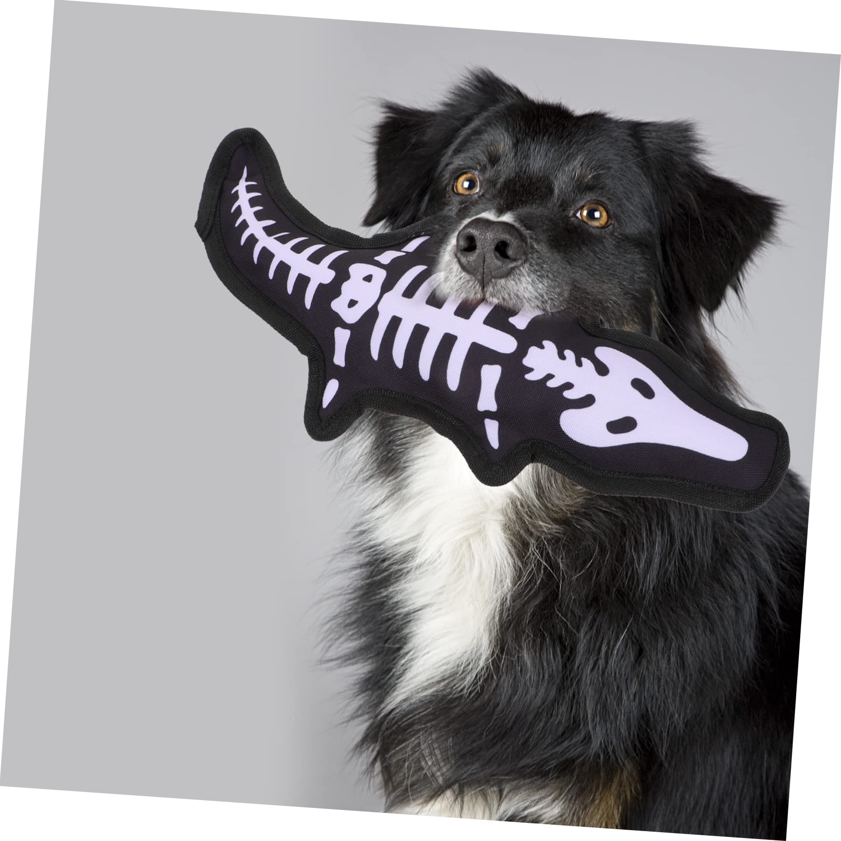 BESPORTBLE 1pièce Jouet à Mâcher pour Chiens Squeaky Jouet Molaire Interactif Oxford pour Petits Animaux Améliore Être Émotionnel Et Favorise La Santé
