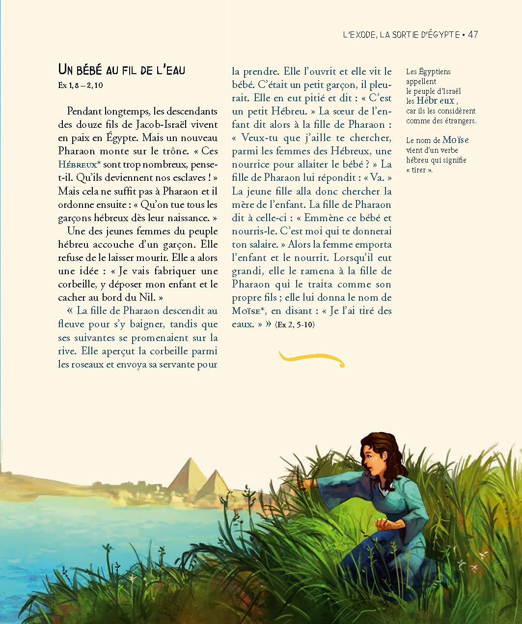 La Bible illustrée (couleur de couverture varié)
