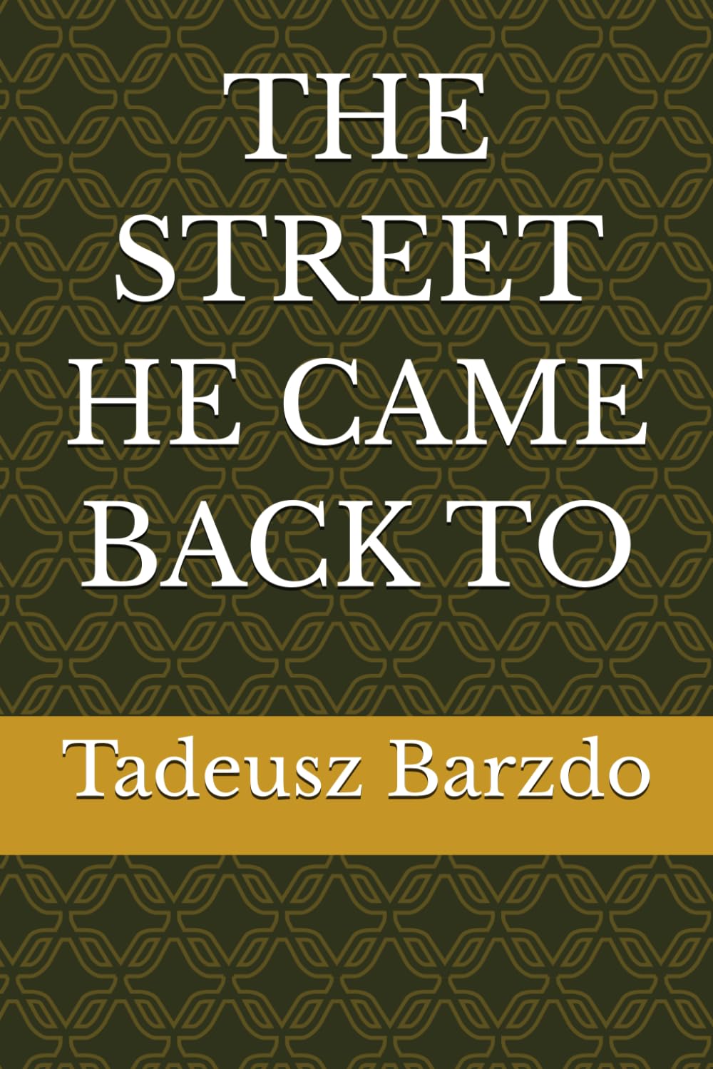 THE STREET HE CAME BACK TO