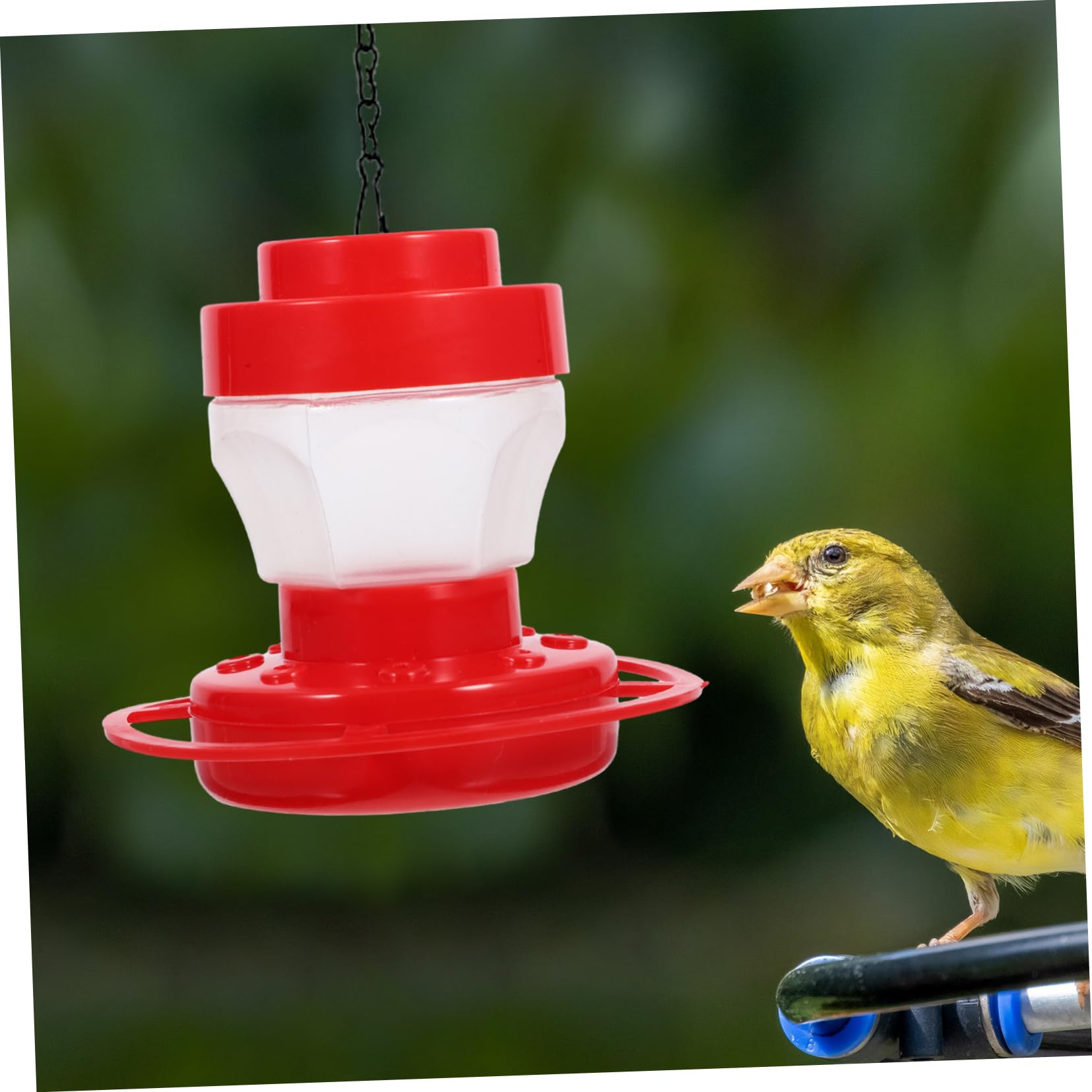 POPETPOP 4 Comederos para Pájaros para Patio Aire Comederos para Pájaros Colgantes Contenedores De Comida para Contenedor De Forraje para para