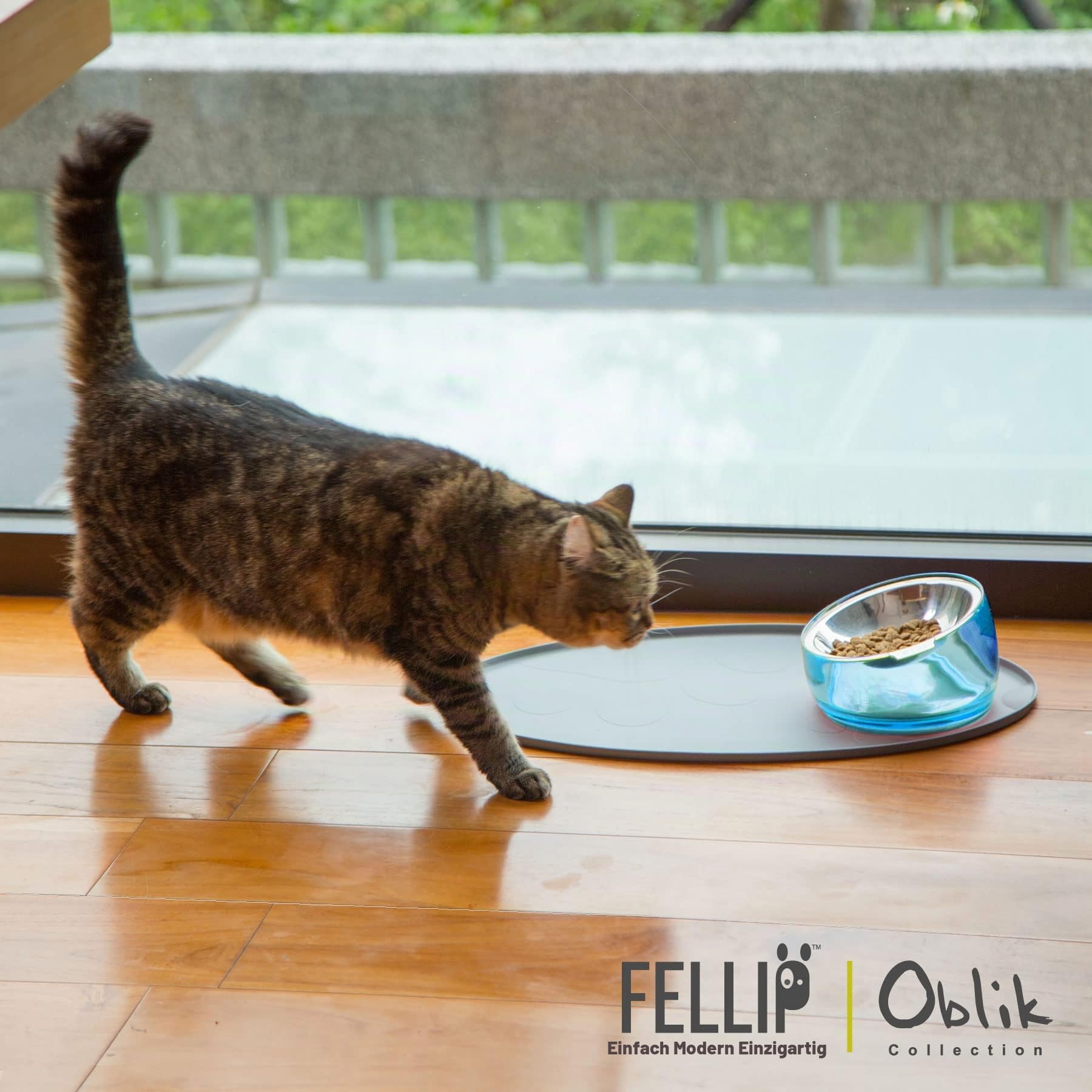 Felli Pet Oblik Schnurrhaar, Müdigkeit, Katzennapf, Edelstahl, Flacher, Flacher Teller für trockenes Nassfutter, erhöhter Acrylboden mit Leckerli-Aufbewahrung, Anti-Erbrechen, Rutschfester