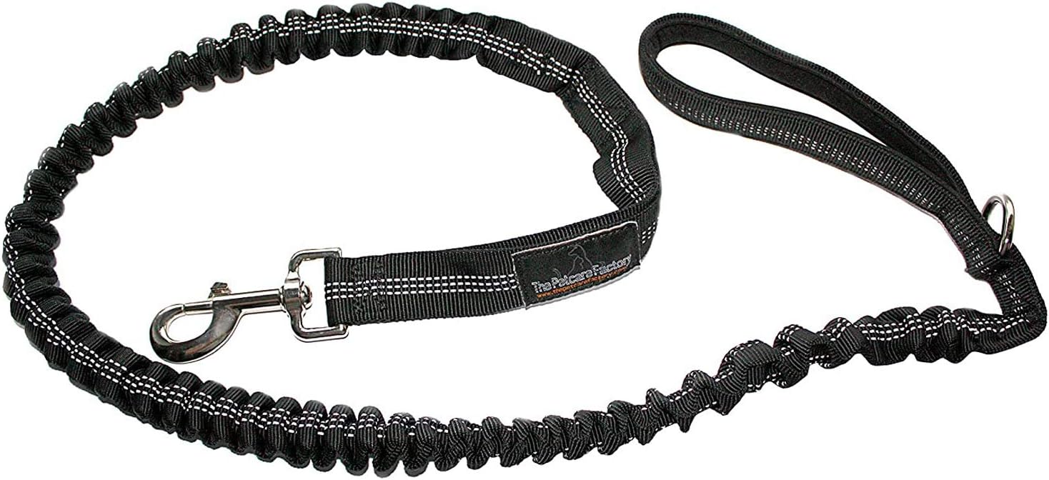 Premium Bungee Dog Lead Dual Handled Bungee Shock Absorbing Lead (Black) - Tough Waterproof Nylon Webbing With Reflective Stitching - Dual Handles for Normal & Close Control