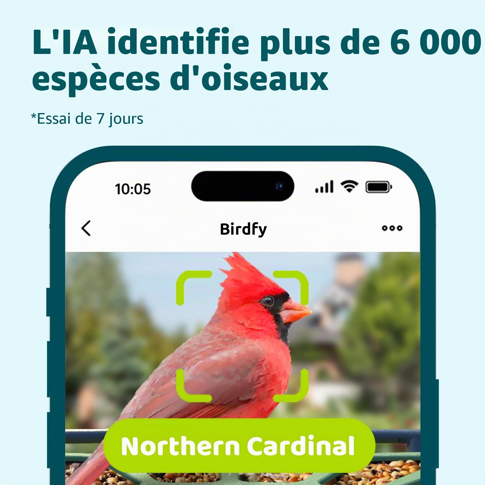 Birdfy Feeder 2 Mangeoire à Oiseaux avec Caméra et Panneau Solaire, Caméra d'observation des Oiseaux, Identification Automatique, Alerte, Capture vidéo d'oiseaux, Mangeoire Oiseaux Exterieur