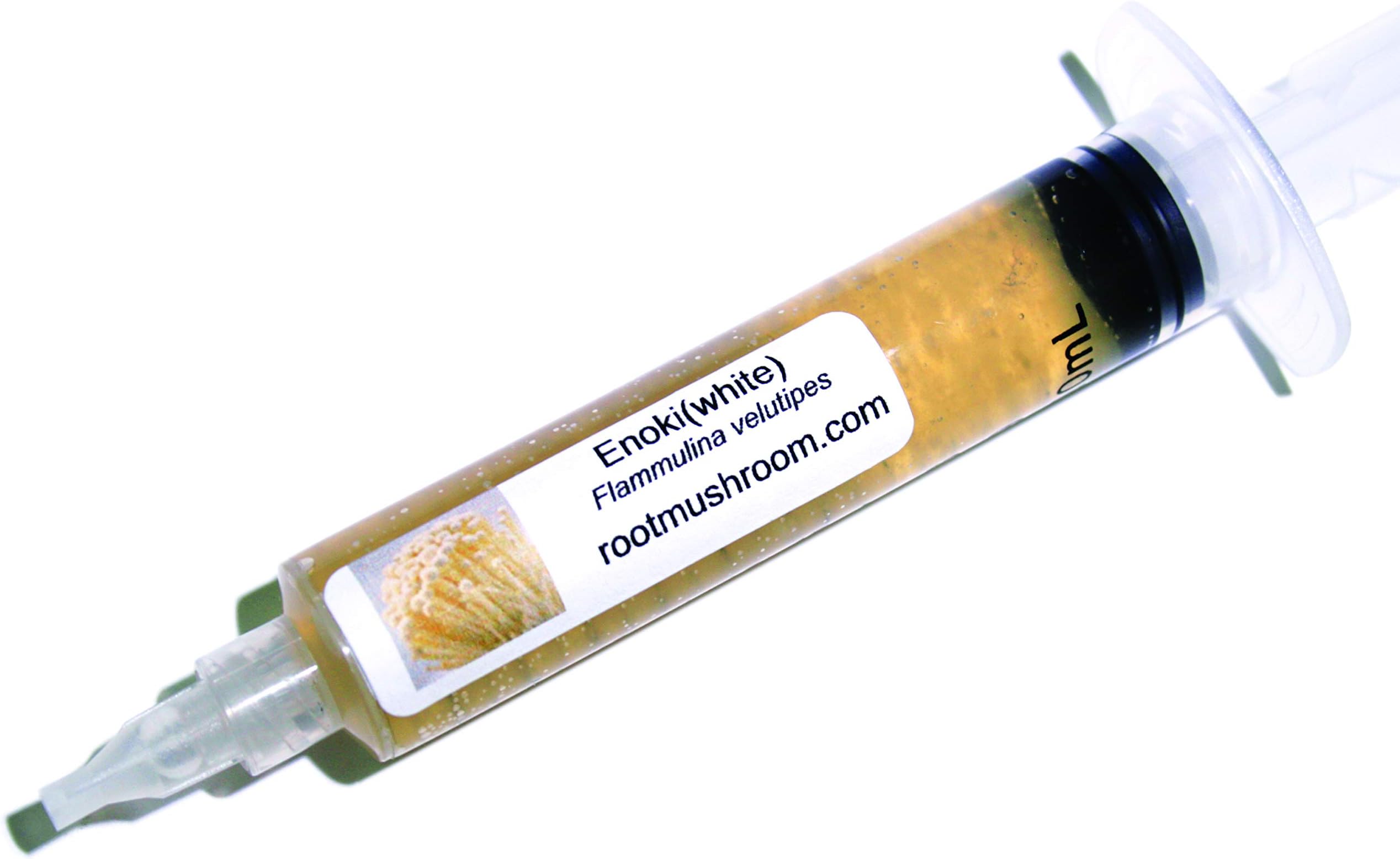 Root Mushroom Farm- 30 Mushroom Liquid Cultures /White Enoki (Flammulina velutipes)