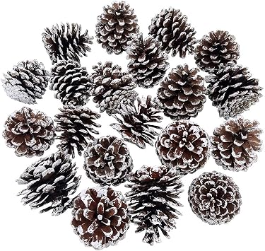 BESTTOYHOME 20-Piece Snow Tipped Real Natural Dried Pine Cones Frosted Pinecones Ornaments 2" - 3" Tall for Home Decor Christmas Winter Xmas Rustic Country Decoration