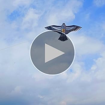 Amazon.co.jp: 鳥よけ カイト 鷹 (ポール竿付) 軽量丈夫 防鳥具 鳥追い