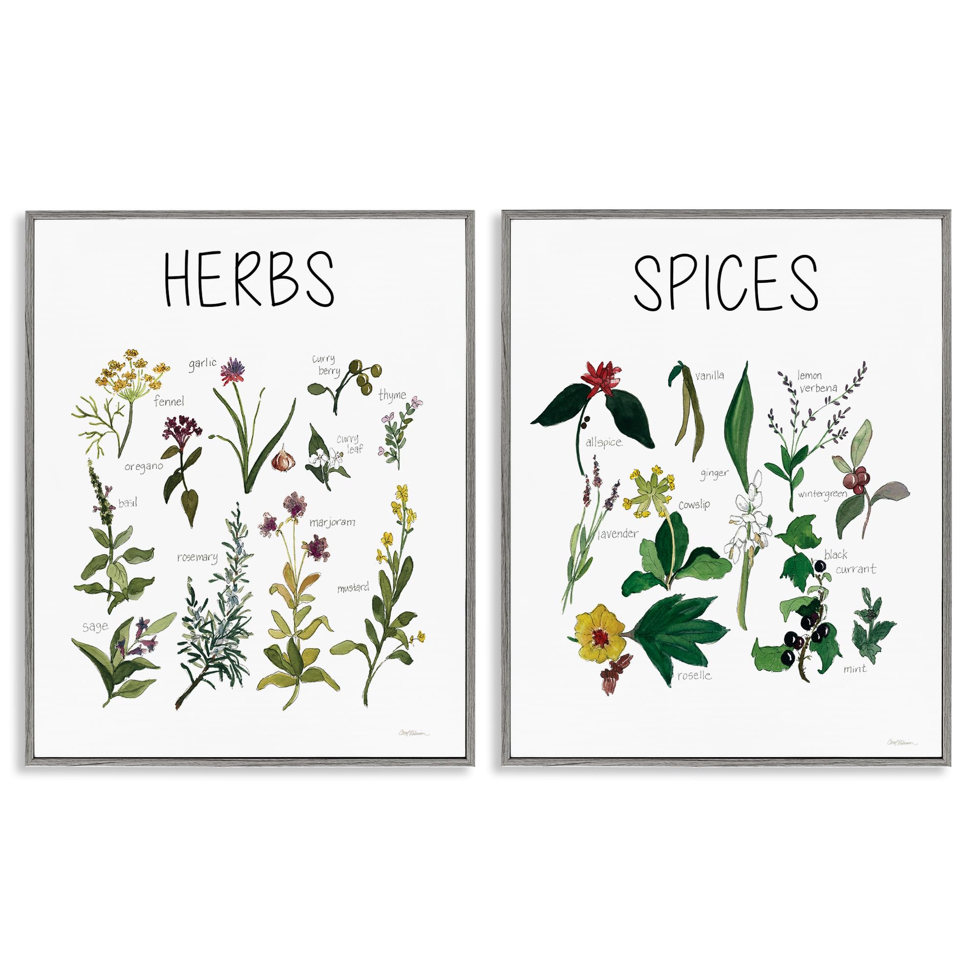 'Culinary Herbs & Spices'| 2pc Framed Giclee Art Set 2